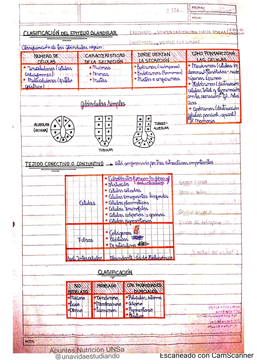 Introducción CLASE 1
ΑΝΑΤΟΜΙΑ 2020
y fisiologia
POSICION
ANATOMICA
Anatomia : Gencia que estudia las estructuras corporales y las relaciones