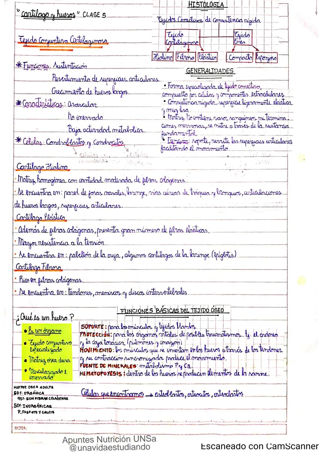 Introducción CLASE 1
ΑΝΑΤΟΜΙΑ 2020
y fisiologia
POSICION
ANATOMICA
Anatomia : Gencia que estudia las estructuras corporales y las relaciones