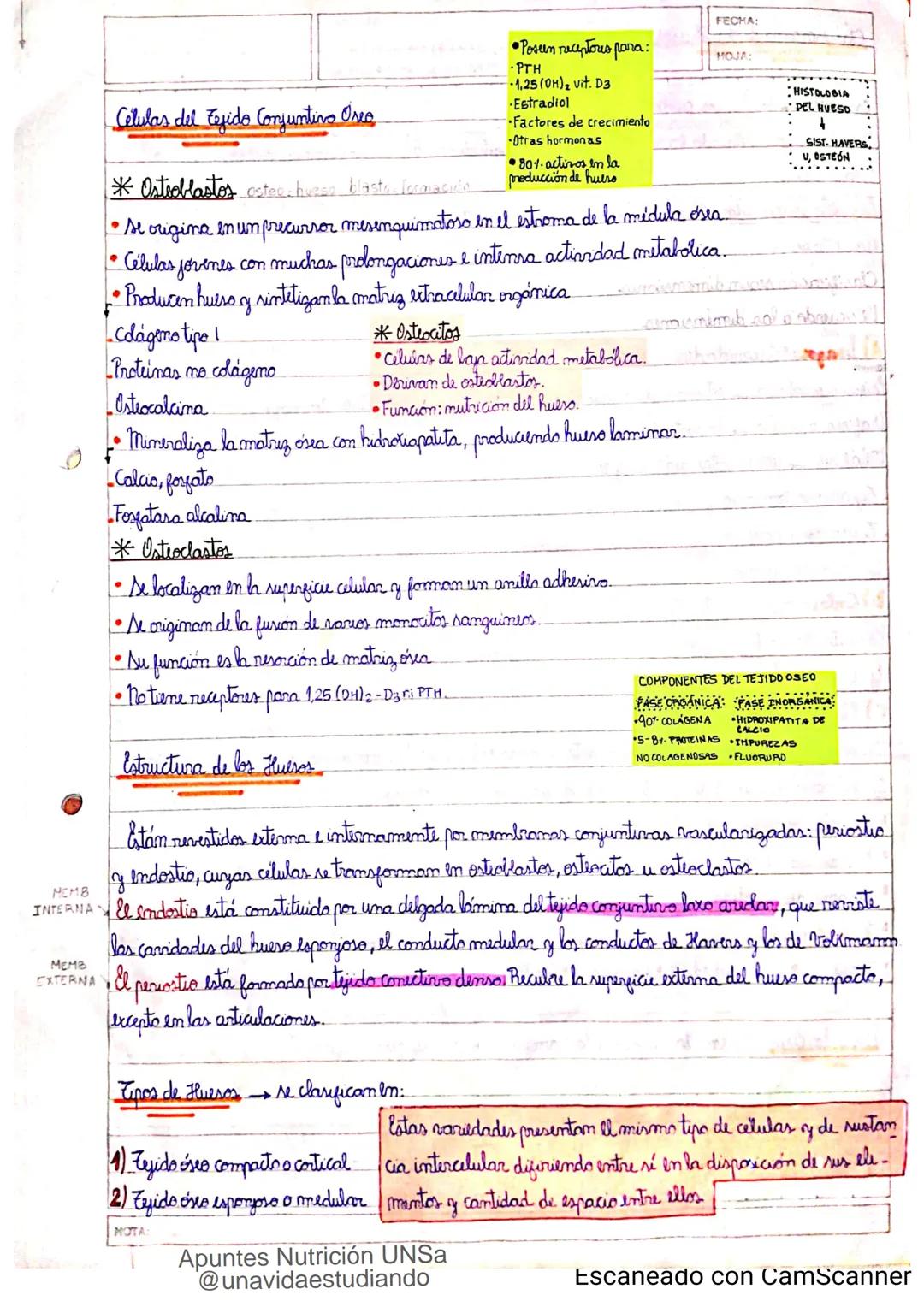 Introducción CLASE 1
ΑΝΑΤΟΜΙΑ 2020
y fisiologia
POSICION
ANATOMICA
Anatomia : Gencia que estudia las estructuras corporales y las relaciones