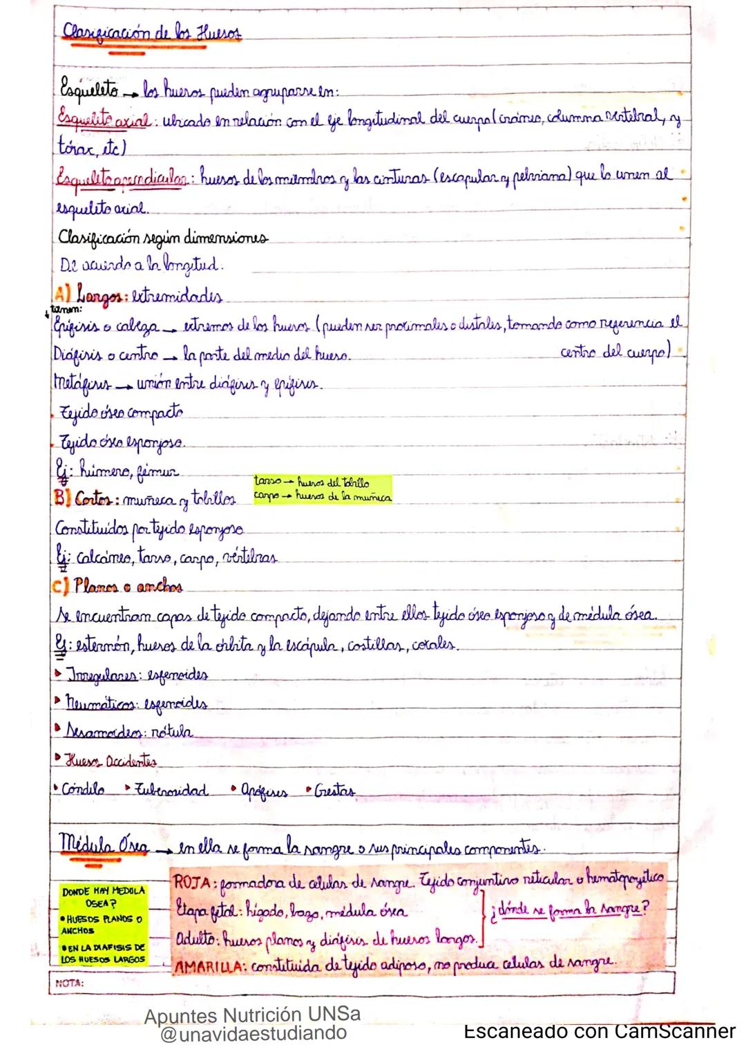 Introducción CLASE 1
ΑΝΑΤΟΜΙΑ 2020
y fisiologia
POSICION
ANATOMICA
Anatomia : Gencia que estudia las estructuras corporales y las relaciones