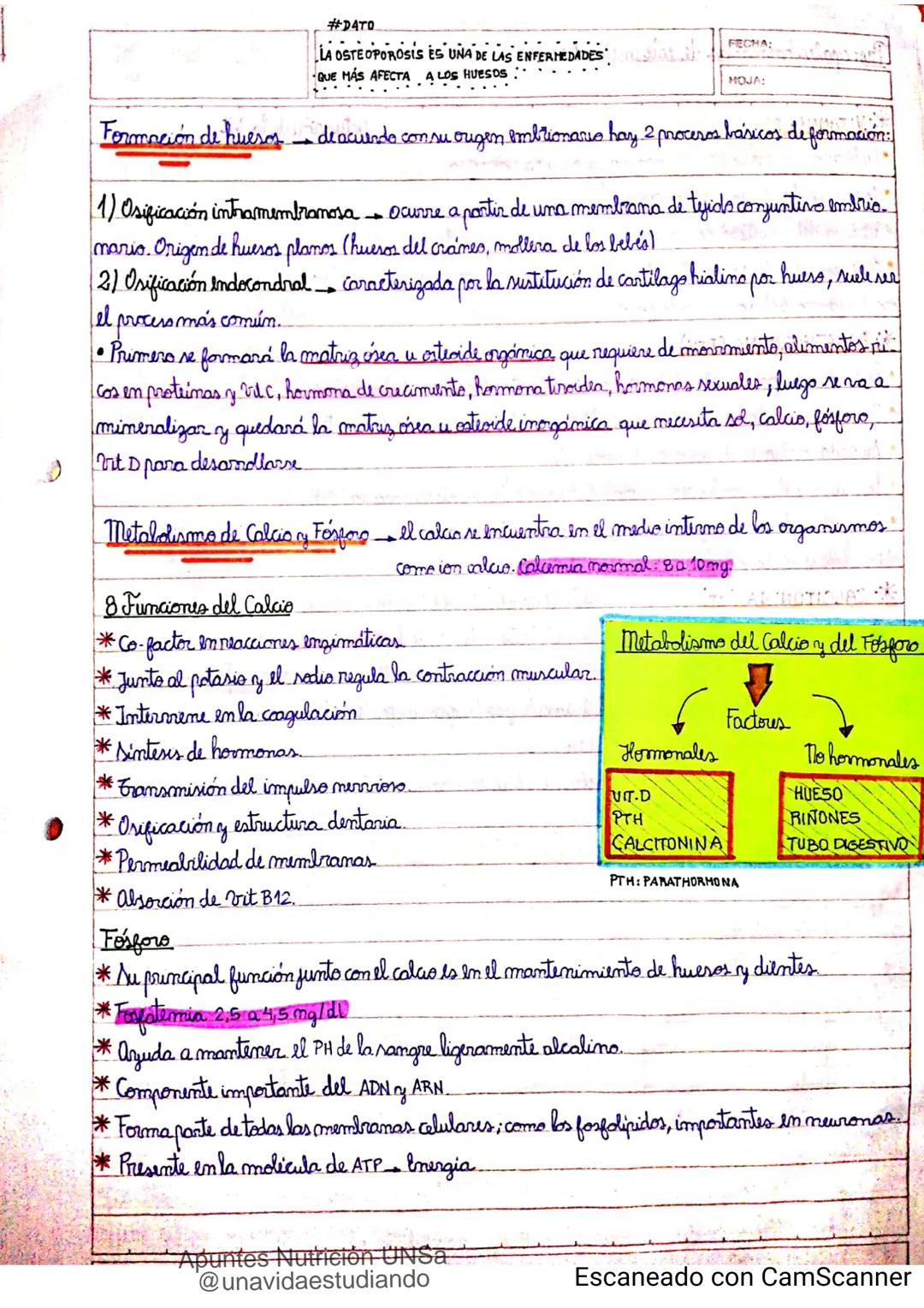 Introducción CLASE 1
ΑΝΑΤΟΜΙΑ 2020
y fisiologia
POSICION
ANATOMICA
Anatomia : Gencia que estudia las estructuras corporales y las relaciones