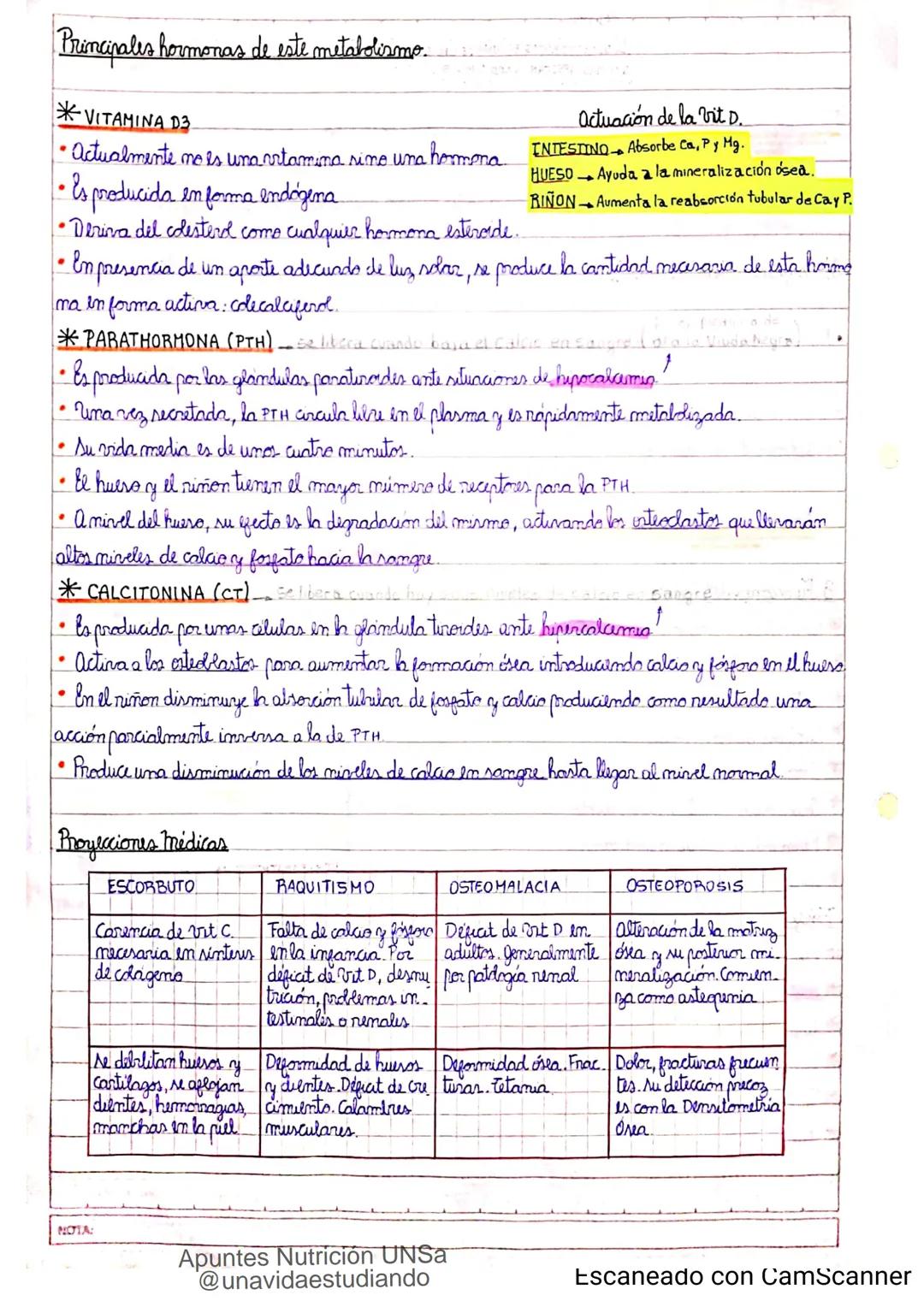 Introducción CLASE 1
ΑΝΑΤΟΜΙΑ 2020
y fisiologia
POSICION
ANATOMICA
Anatomia : Gencia que estudia las estructuras corporales y las relaciones