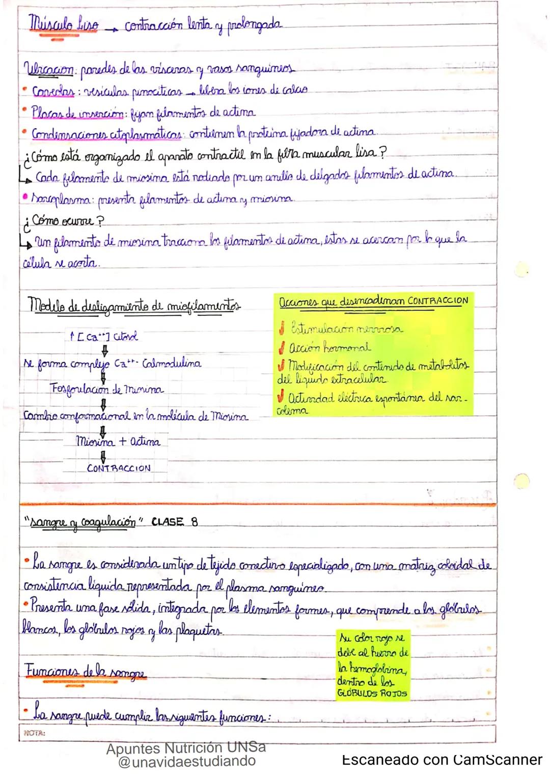Introducción CLASE 1
ΑΝΑΤΟΜΙΑ 2020
y fisiologia
POSICION
ANATOMICA
Anatomia : Gencia que estudia las estructuras corporales y las relaciones