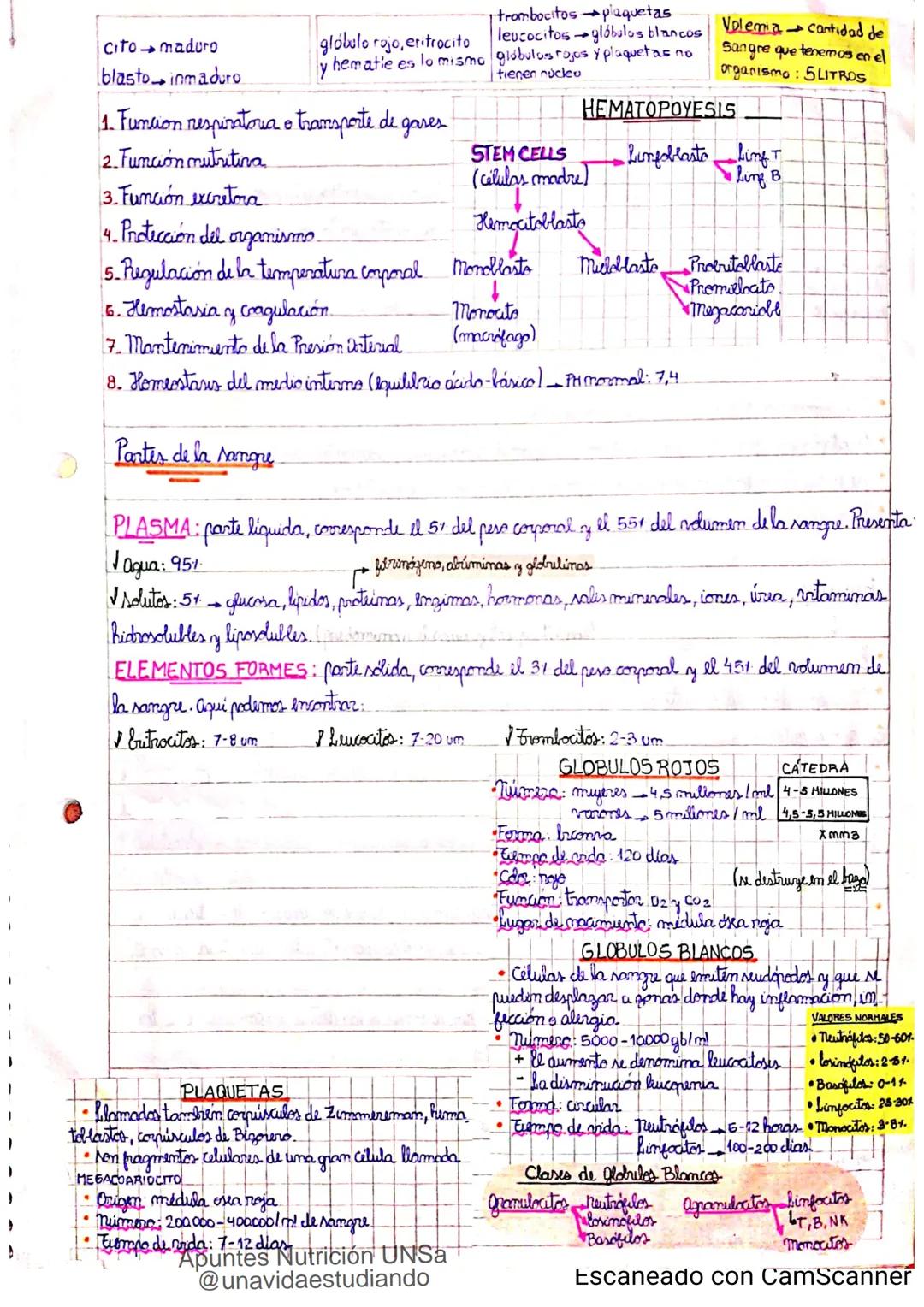 Introducción CLASE 1
ΑΝΑΤΟΜΙΑ 2020
y fisiologia
POSICION
ANATOMICA
Anatomia : Gencia que estudia las estructuras corporales y las relaciones