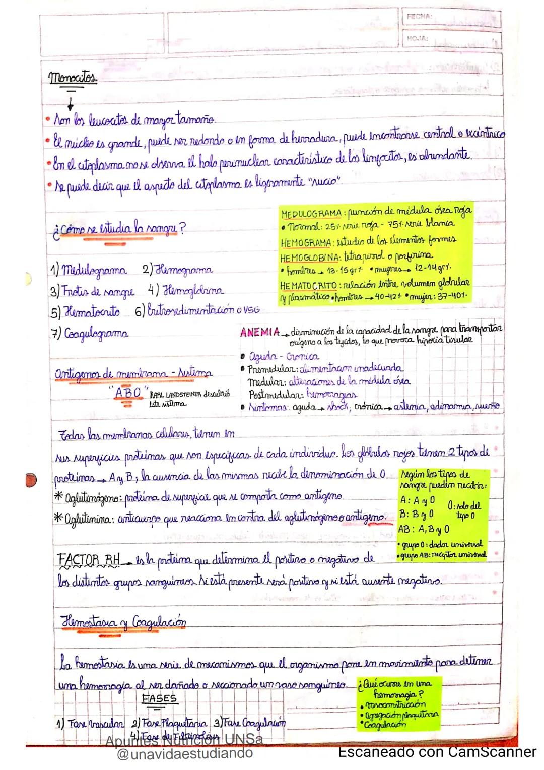 Introducción CLASE 1
ΑΝΑΤΟΜΙΑ 2020
y fisiologia
POSICION
ANATOMICA
Anatomia : Gencia que estudia las estructuras corporales y las relaciones