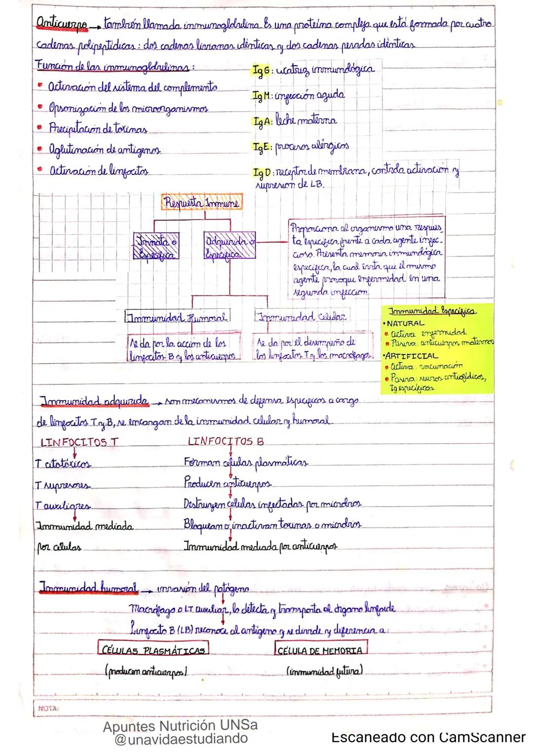 Introducción CLASE 1
ΑΝΑΤΟΜΙΑ 2020
y fisiologia
POSICION
ANATOMICA
Anatomia : Gencia que estudia las estructuras corporales y las relaciones