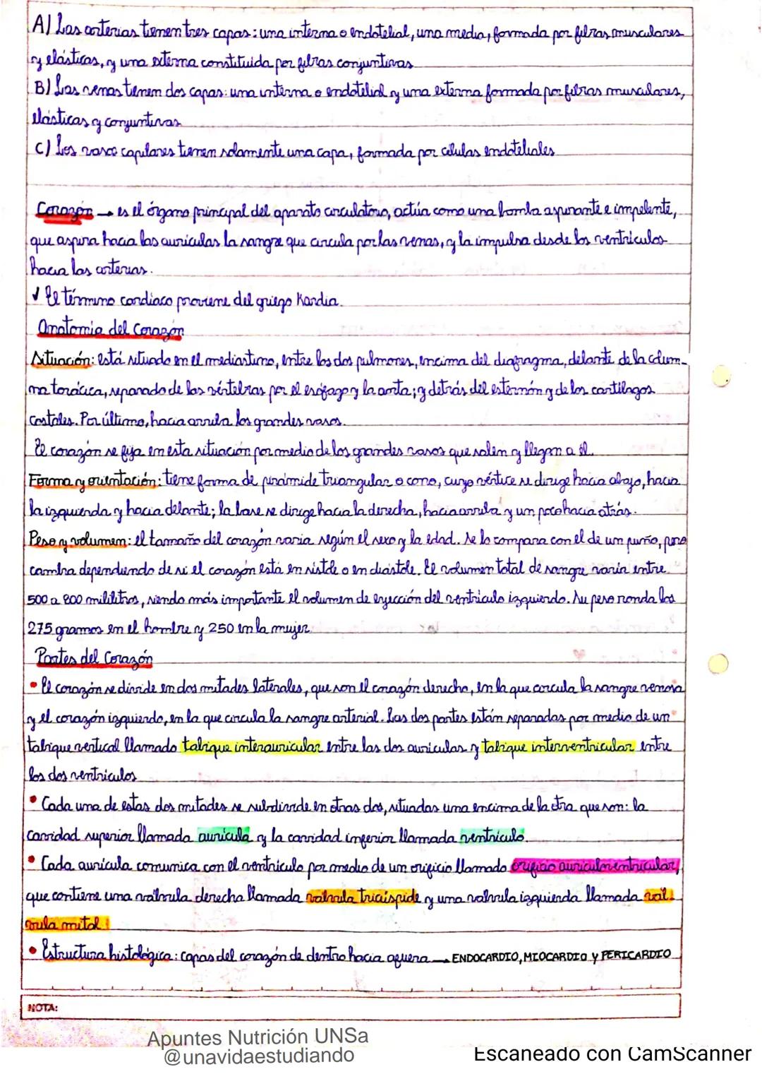 Introducción CLASE 1
ΑΝΑΤΟΜΙΑ 2020
y fisiologia
POSICION
ANATOMICA
Anatomia : Gencia que estudia las estructuras corporales y las relaciones