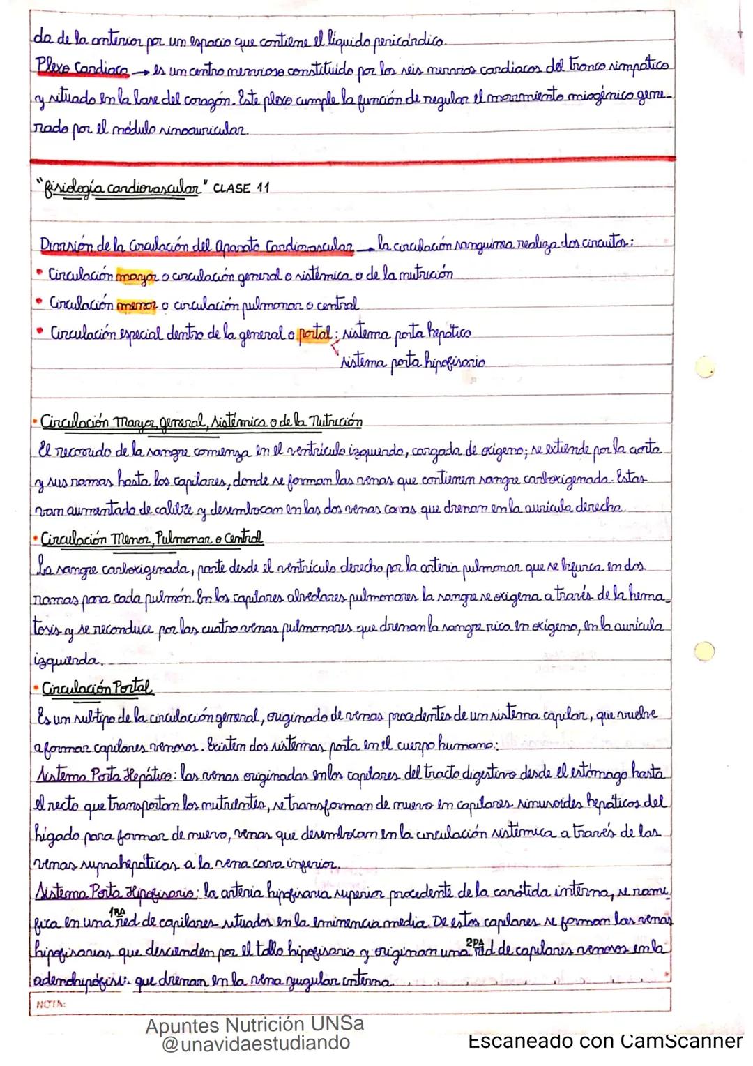 Introducción CLASE 1
ΑΝΑΤΟΜΙΑ 2020
y fisiologia
POSICION
ANATOMICA
Anatomia : Gencia que estudia las estructuras corporales y las relaciones