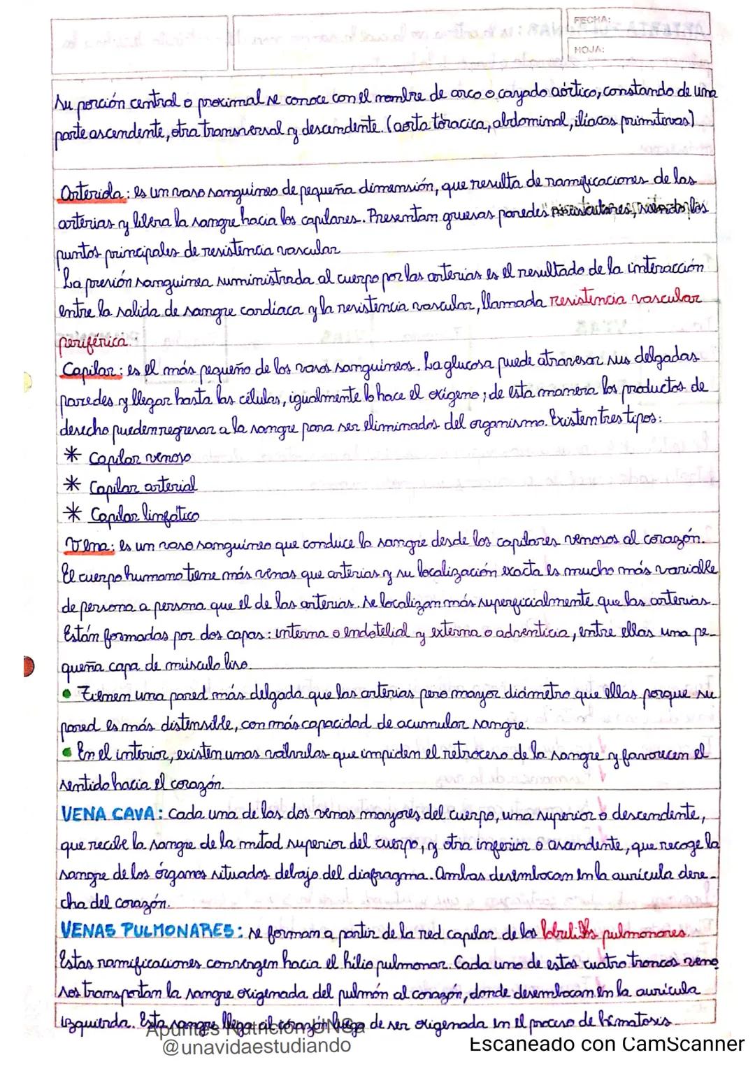 Introducción CLASE 1
ΑΝΑΤΟΜΙΑ 2020
y fisiologia
POSICION
ANATOMICA
Anatomia : Gencia que estudia las estructuras corporales y las relaciones