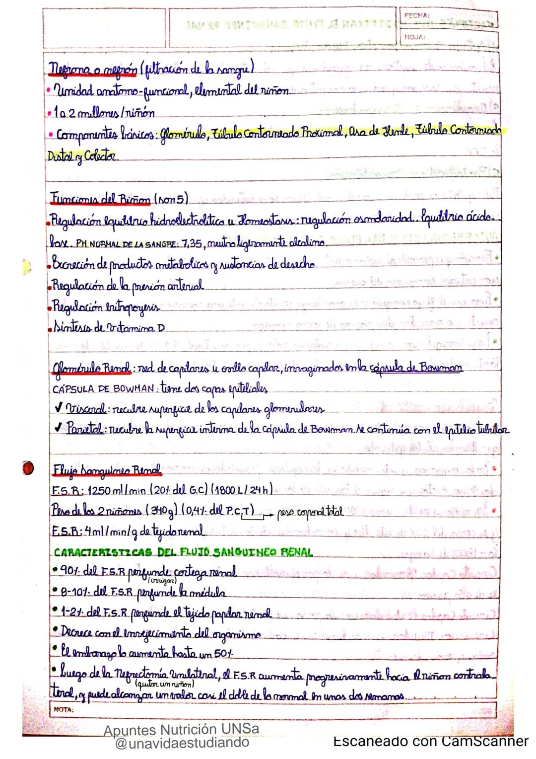 Introducción CLASE 1
ΑΝΑΤΟΜΙΑ 2020
y fisiologia
POSICION
ANATOMICA
Anatomia : Gencia que estudia las estructuras corporales y las relaciones