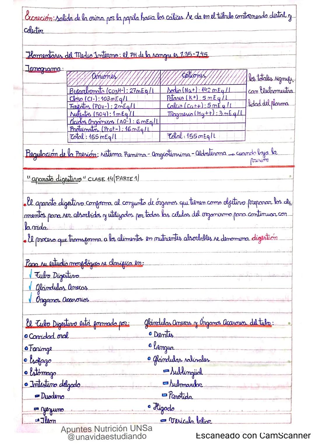 Introducción CLASE 1
ΑΝΑΤΟΜΙΑ 2020
y fisiologia
POSICION
ANATOMICA
Anatomia : Gencia que estudia las estructuras corporales y las relaciones