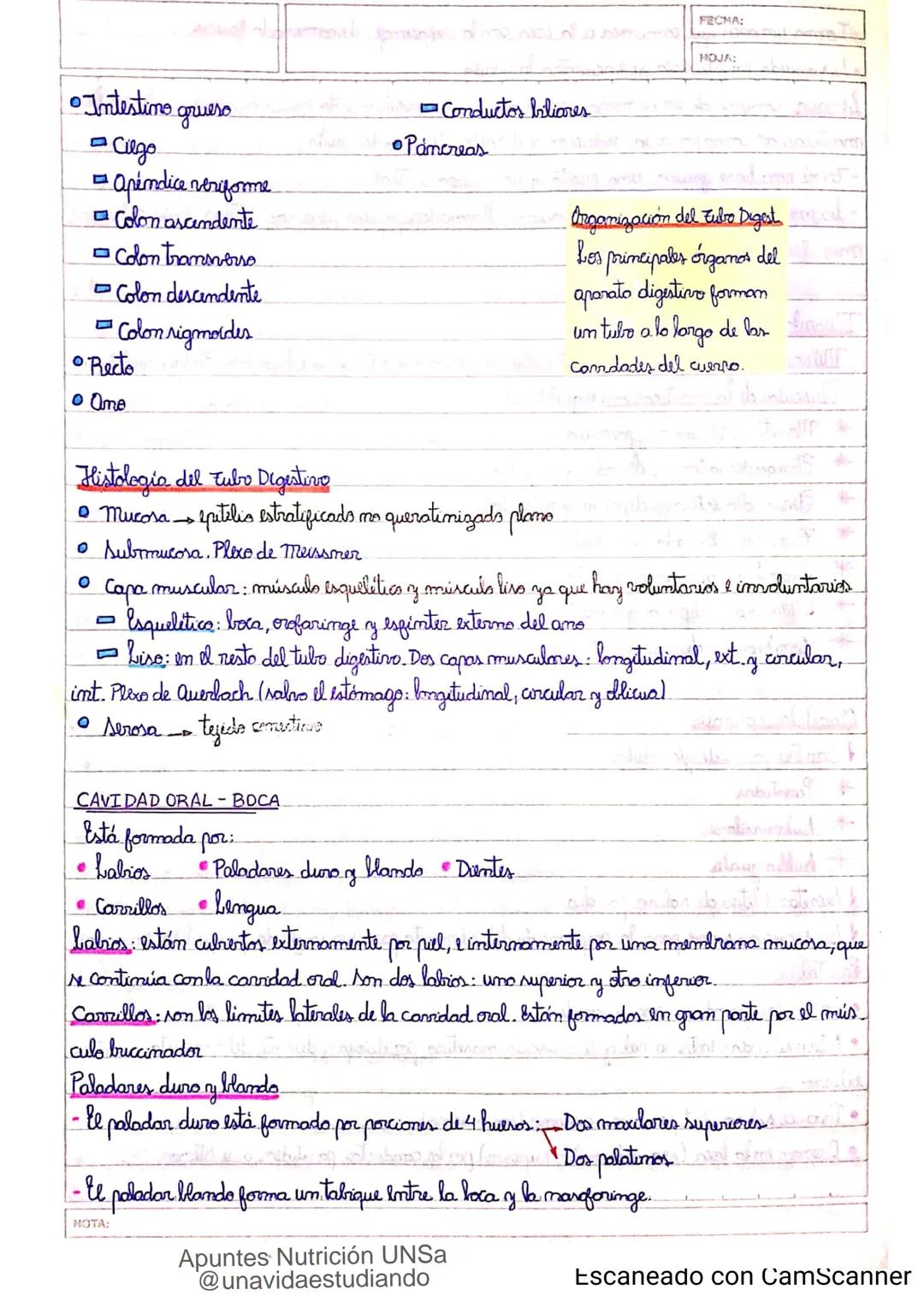 Introducción CLASE 1
ΑΝΑΤΟΜΙΑ 2020
y fisiologia
POSICION
ANATOMICA
Anatomia : Gencia que estudia las estructuras corporales y las relaciones