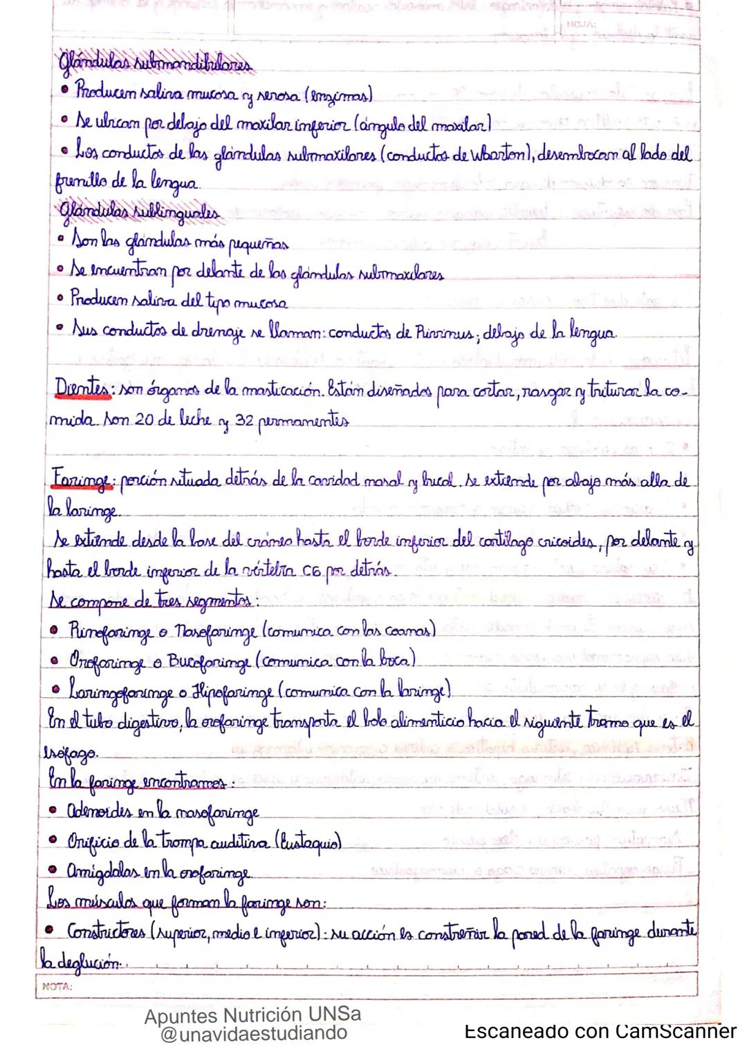 Introducción CLASE 1
ΑΝΑΤΟΜΙΑ 2020
y fisiologia
POSICION
ANATOMICA
Anatomia : Gencia que estudia las estructuras corporales y las relaciones