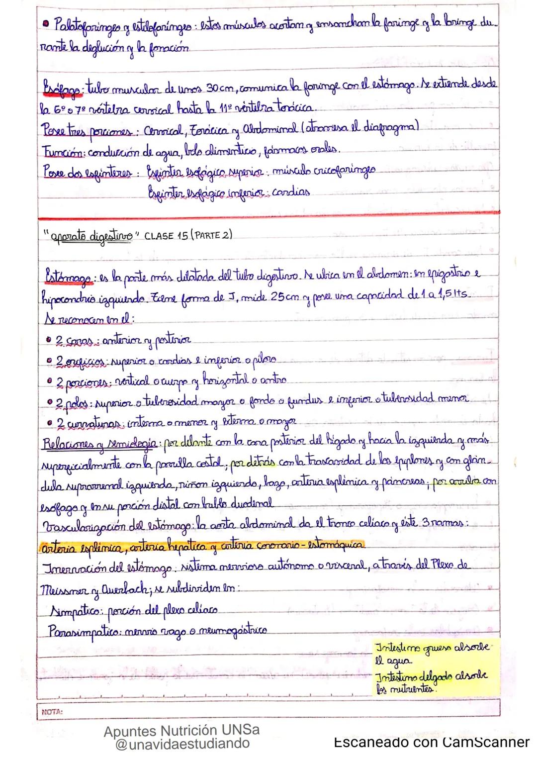 Introducción CLASE 1
ΑΝΑΤΟΜΙΑ 2020
y fisiologia
POSICION
ANATOMICA
Anatomia : Gencia que estudia las estructuras corporales y las relaciones