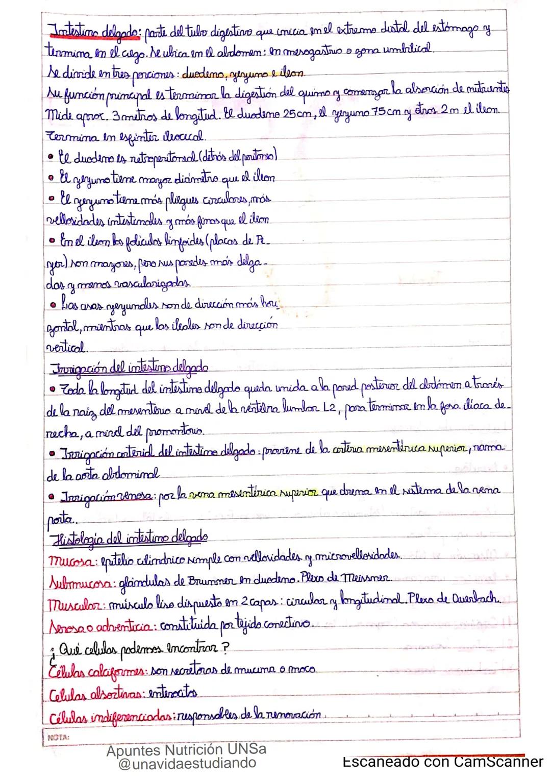Introducción CLASE 1
ΑΝΑΤΟΜΙΑ 2020
y fisiologia
POSICION
ANATOMICA
Anatomia : Gencia que estudia las estructuras corporales y las relaciones