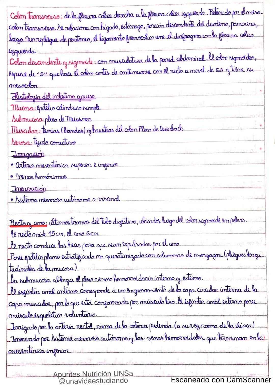 Introducción CLASE 1
ΑΝΑΤΟΜΙΑ 2020
y fisiologia
POSICION
ANATOMICA
Anatomia : Gencia que estudia las estructuras corporales y las relaciones