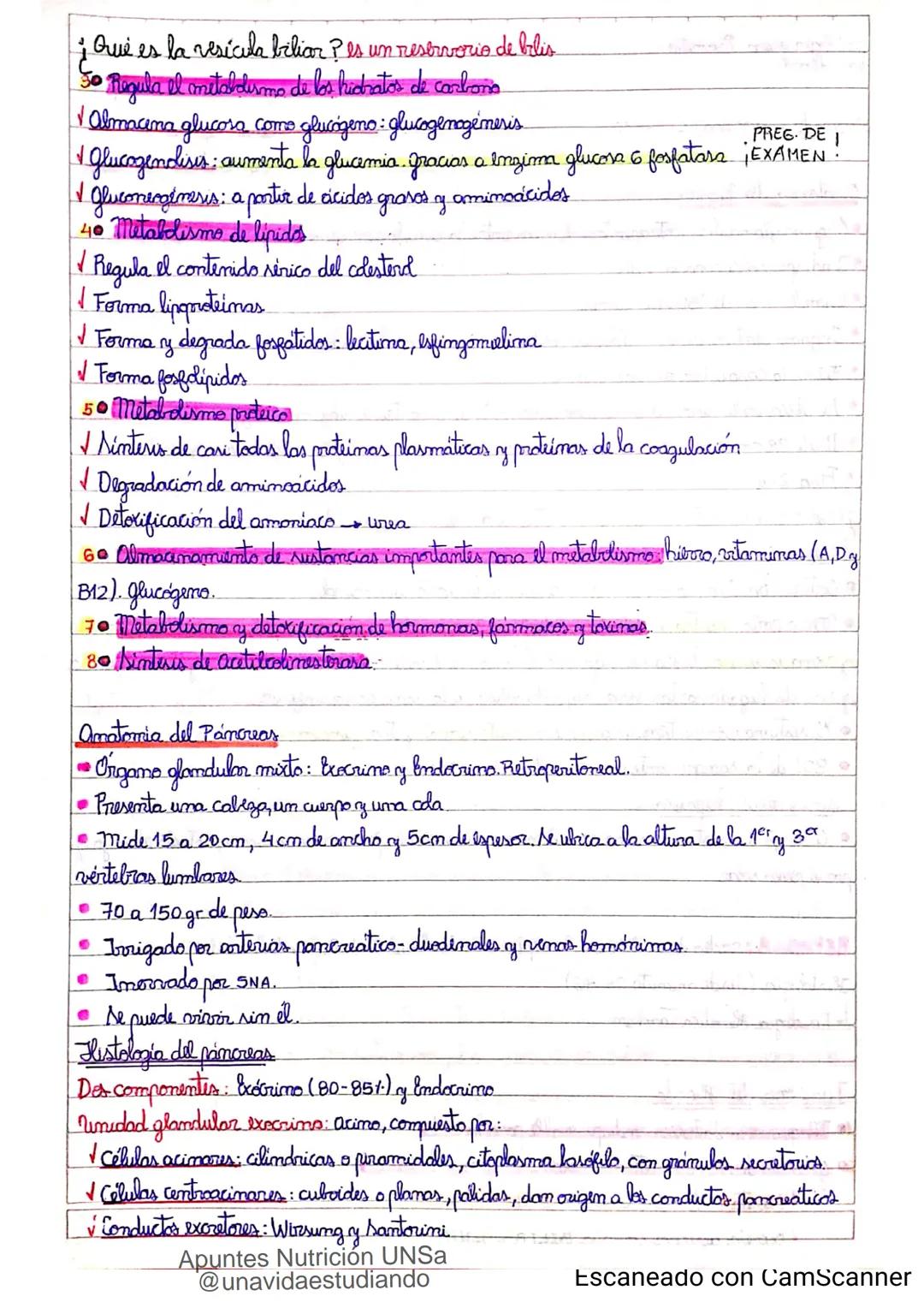 Introducción CLASE 1
ΑΝΑΤΟΜΙΑ 2020
y fisiologia
POSICION
ANATOMICA
Anatomia : Gencia que estudia las estructuras corporales y las relaciones