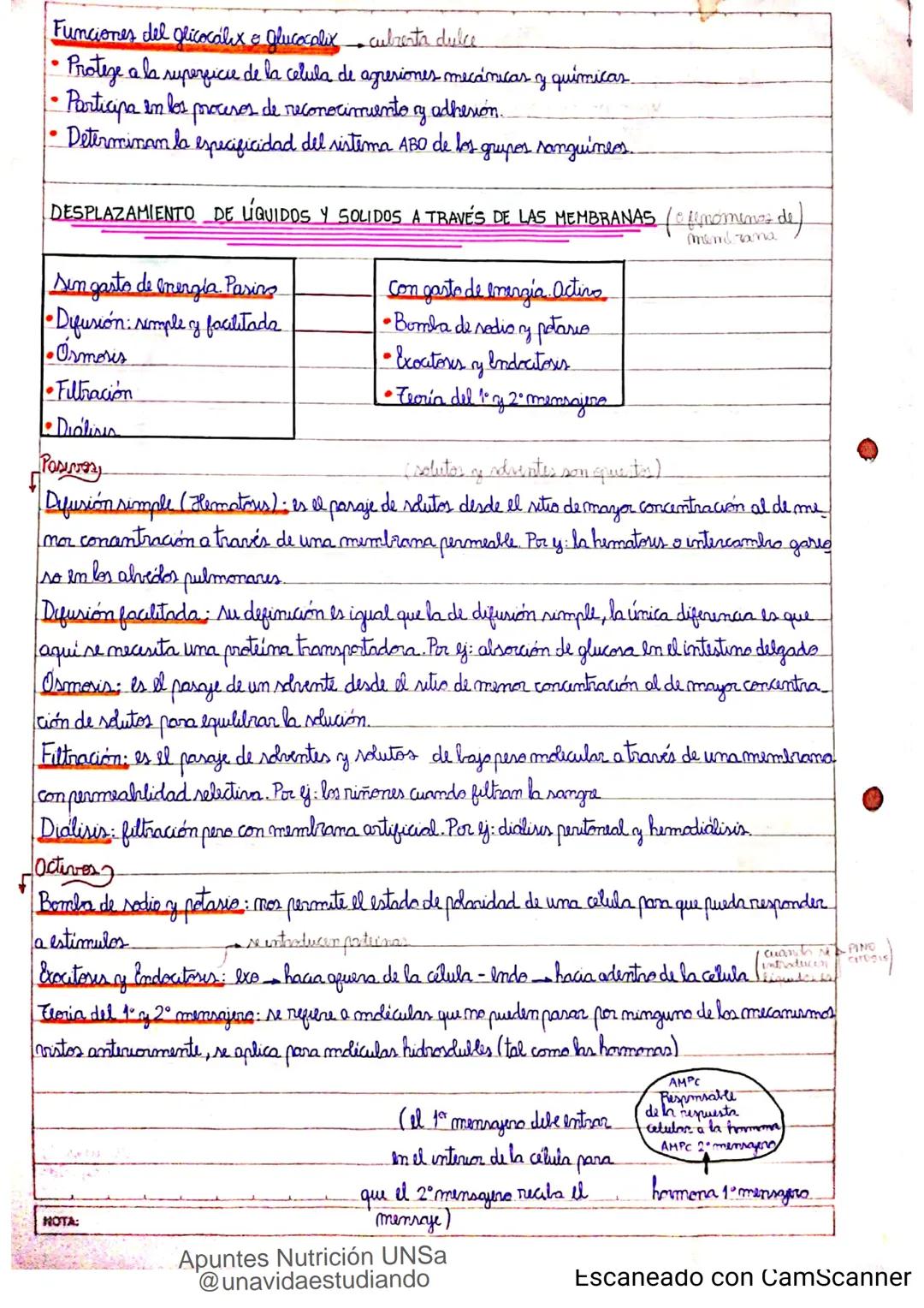 Introducción CLASE 1
ΑΝΑΤΟΜΙΑ 2020
y fisiologia
POSICION
ANATOMICA
Anatomia : Gencia que estudia las estructuras corporales y las relaciones