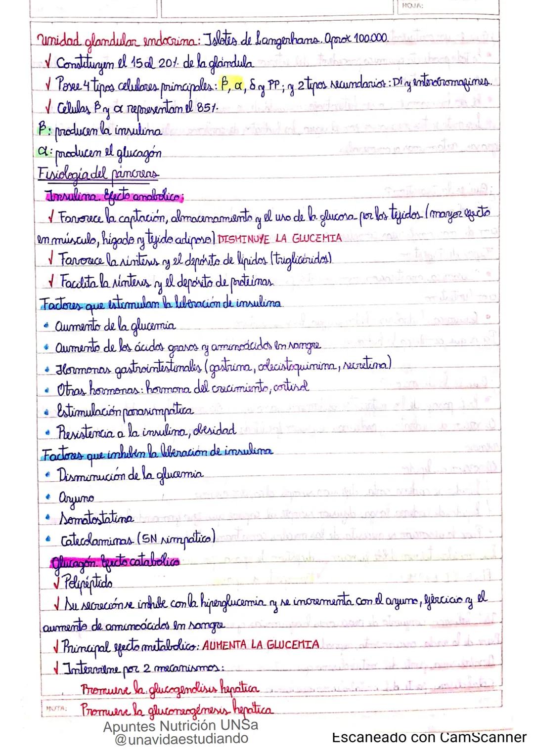 Introducción CLASE 1
ΑΝΑΤΟΜΙΑ 2020
y fisiologia
POSICION
ANATOMICA
Anatomia : Gencia que estudia las estructuras corporales y las relaciones