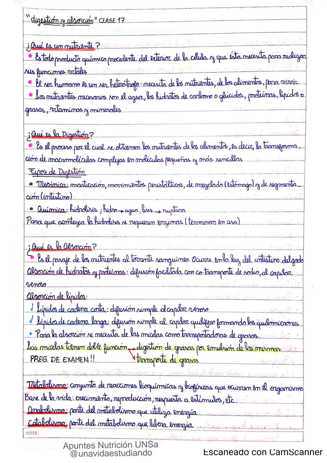 Introducción CLASE 1
ΑΝΑΤΟΜΙΑ 2020
y fisiologia
POSICION
ANATOMICA
Anatomia : Gencia que estudia las estructuras corporales y las relaciones