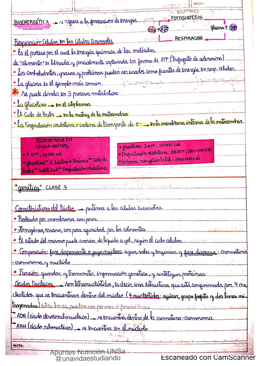 Introducción CLASE 1
ΑΝΑΤΟΜΙΑ 2020
y fisiologia
POSICION
ANATOMICA
Anatomia : Gencia que estudia las estructuras corporales y las relaciones