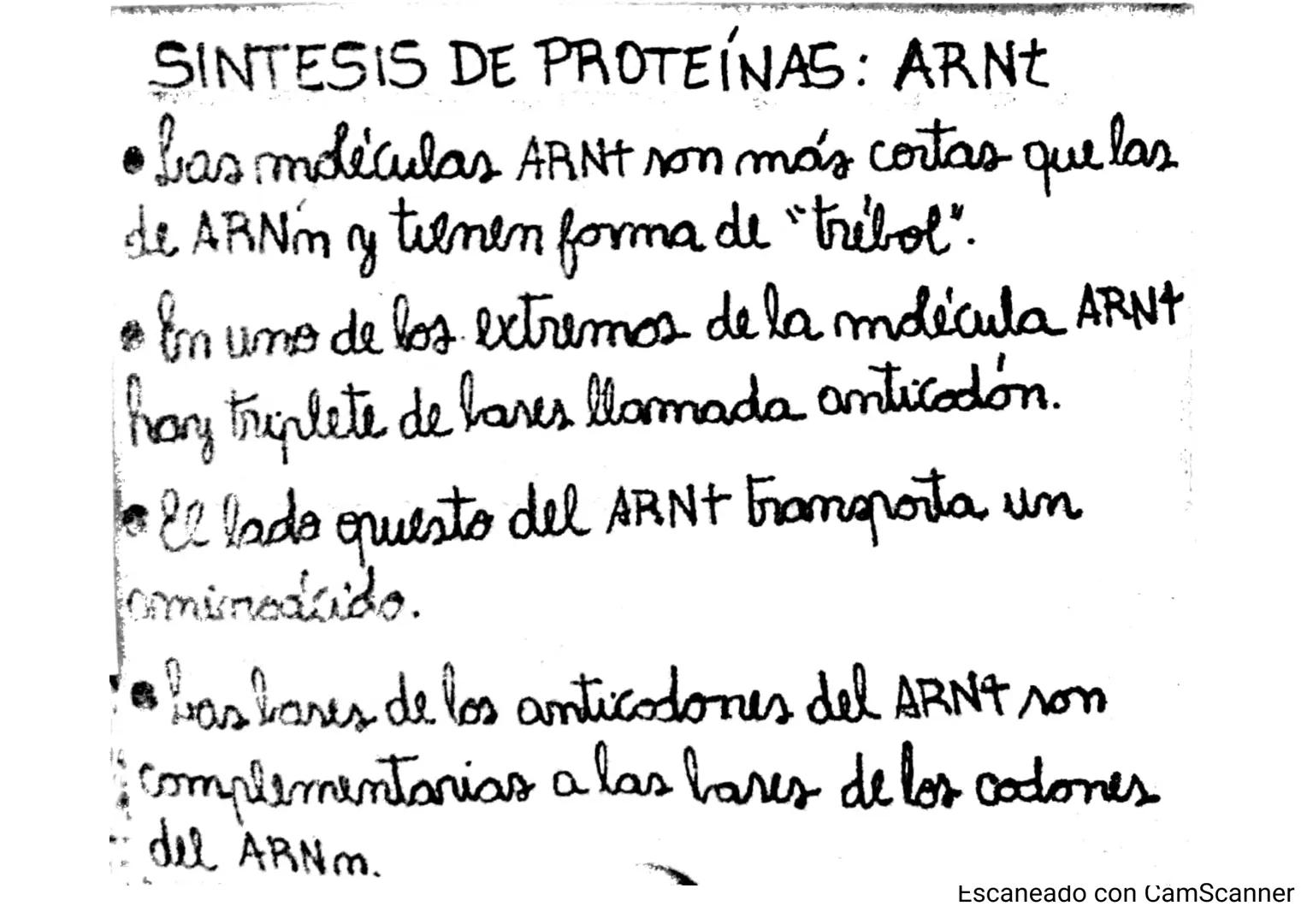 Introducción CLASE 1
ΑΝΑΤΟΜΙΑ 2020
y fisiologia
POSICION
ANATOMICA
Anatomia : Gencia que estudia las estructuras corporales y las relaciones