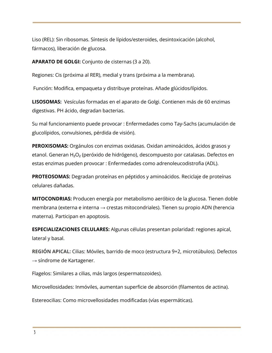 Estructura de la membrana plasmática
by: Julieta Ibalo
18 de mayo 2025
La membrana plasmática está compuesta por una bicapa lipídica interru