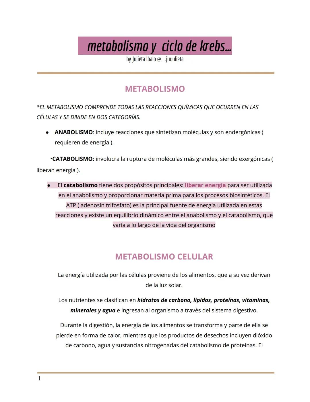 --- OCR Start ---
metabolismo y ciclo de krebs...
by Julieta Ibalo @_.juuulieta
METABOLISMO
*EL METABOLISMO COMPRENDE TODAS LAS REACCIONES Q