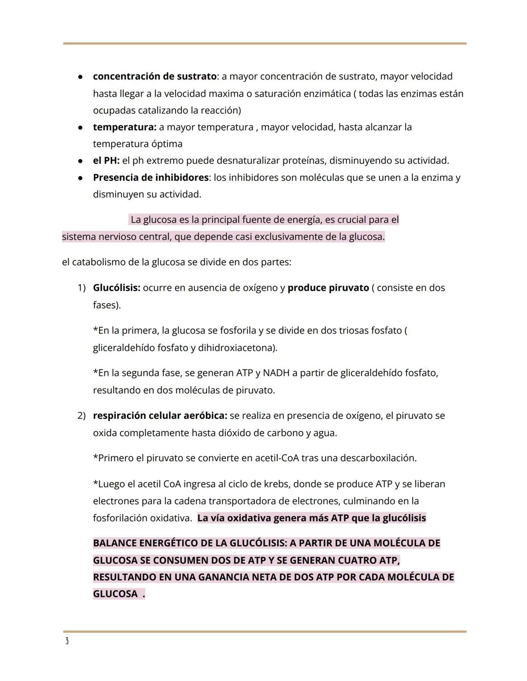 --- OCR Start ---
metabolismo y ciclo de krebs...
by Julieta Ibalo @_.juuulieta
METABOLISMO
*EL METABOLISMO COMPRENDE TODAS LAS REACCIONES Q