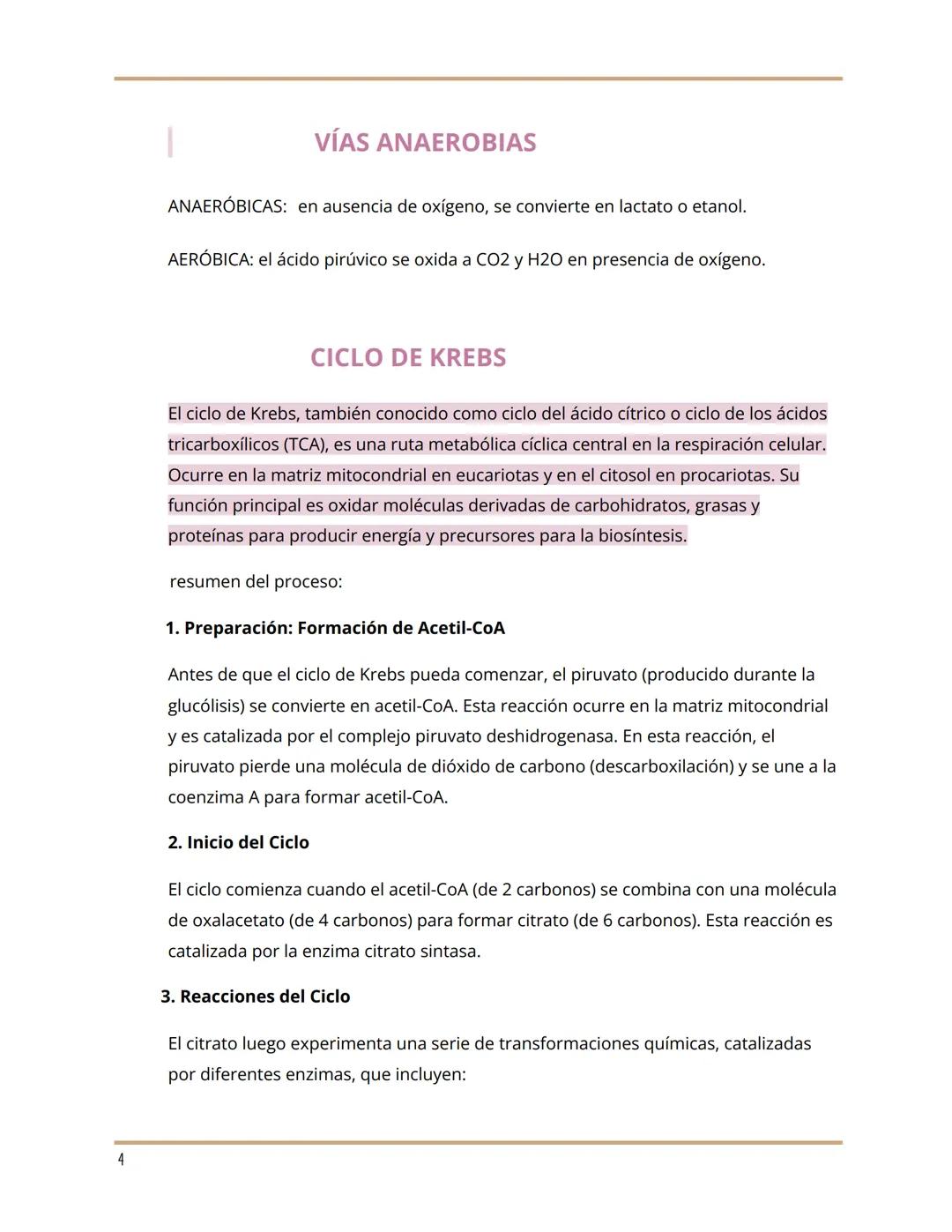 --- OCR Start ---
metabolismo y ciclo de krebs...
by Julieta Ibalo @_.juuulieta
METABOLISMO
*EL METABOLISMO COMPRENDE TODAS LAS REACCIONES Q
