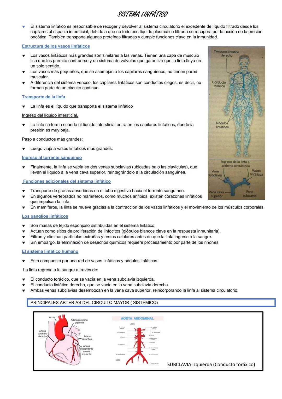 SISTEMA CARDIOVASCLAR
La sangre fluye por el interior de nuestro organismo dentro de un sistema de vasos
sanguíneos; SISTEMA CARDIOVASCULAR,