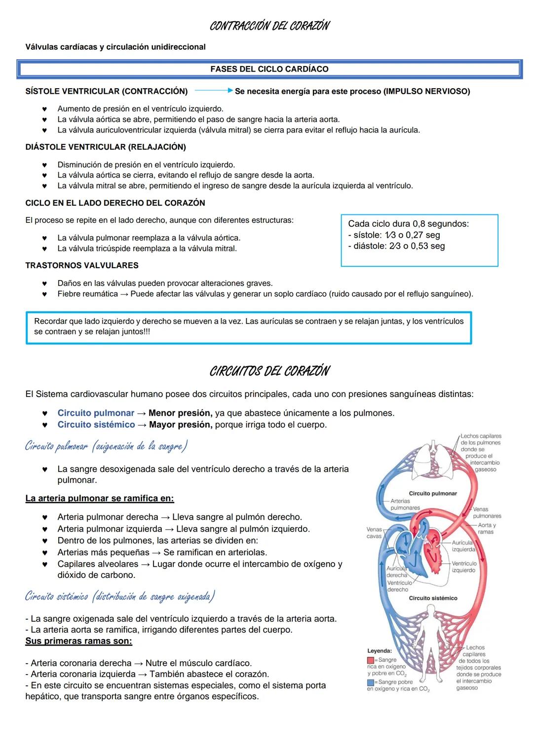SISTEMA CARDIOVASCLAR
La sangre fluye por el interior de nuestro organismo dentro de un sistema de vasos
sanguíneos; SISTEMA CARDIOVASCULAR,