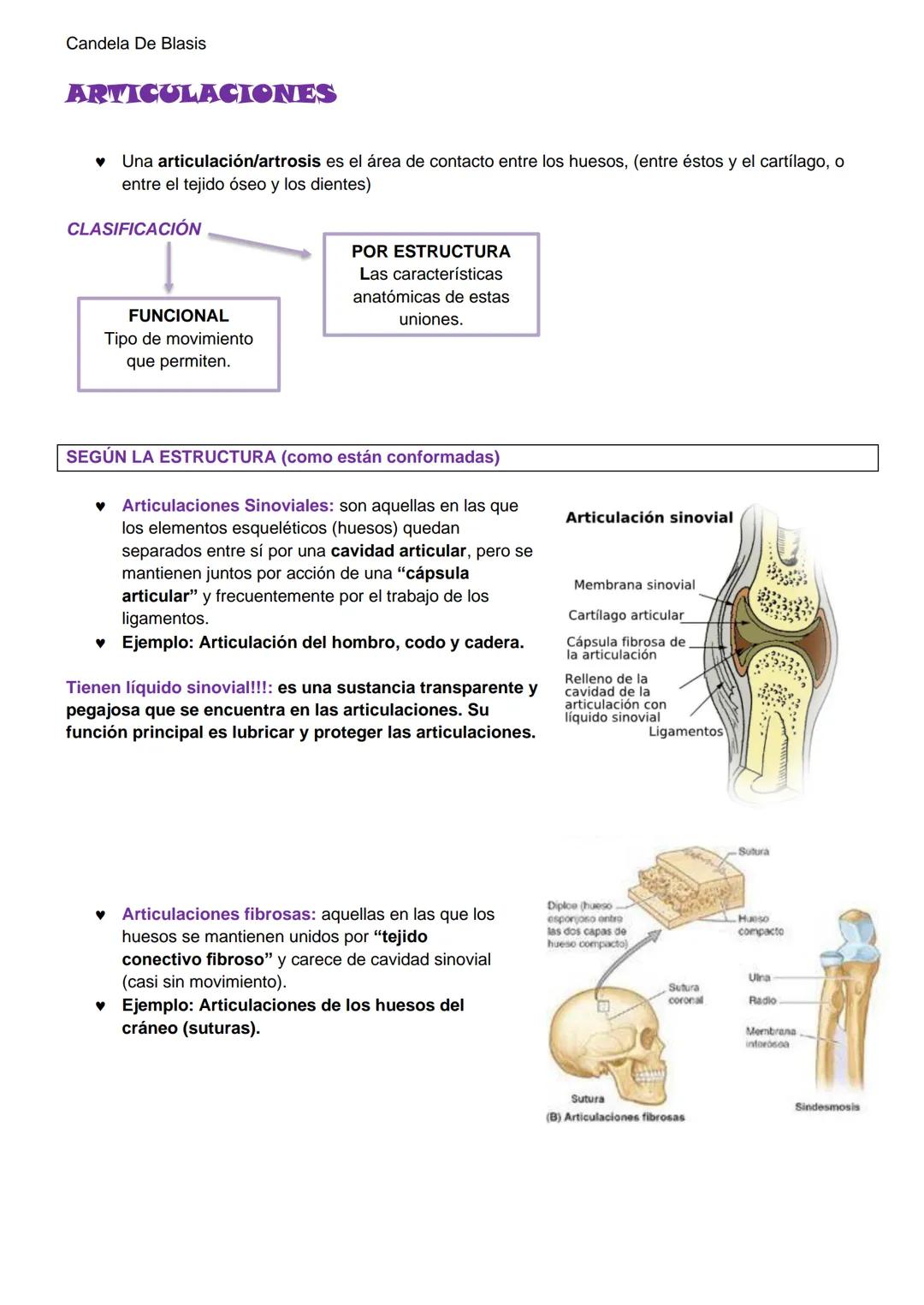 Candela De Blasis
RESUMEN SISTEMA OSTEO-ARTROMUSCULAR
TEJIDO CONECTIVO ESPECIALIZADO (TEJIDO ÓSEO)
Matriz extracelular mineralizada (fosfato