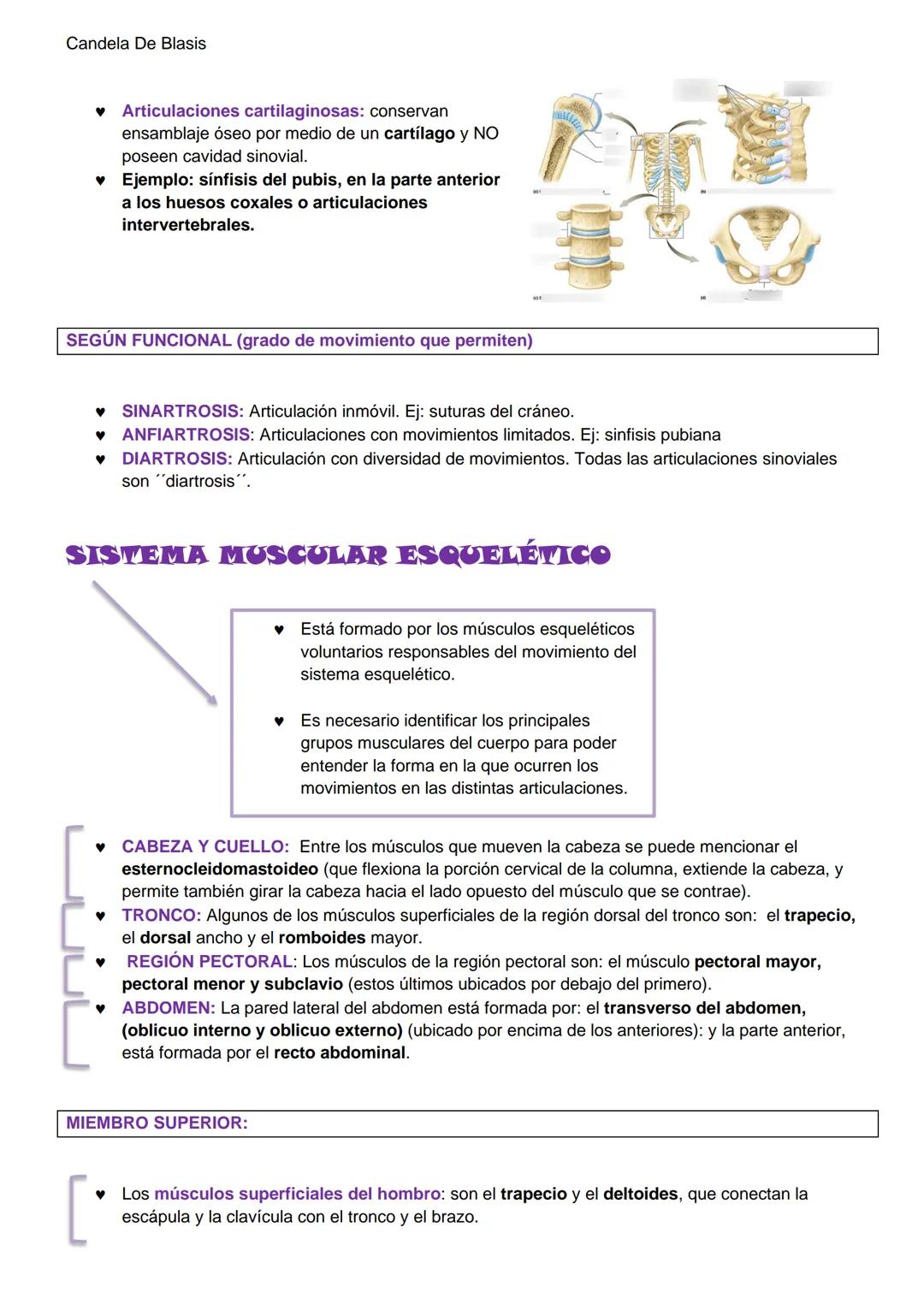 Candela De Blasis
RESUMEN SISTEMA OSTEO-ARTROMUSCULAR
TEJIDO CONECTIVO ESPECIALIZADO (TEJIDO ÓSEO)
Matriz extracelular mineralizada (fosfato