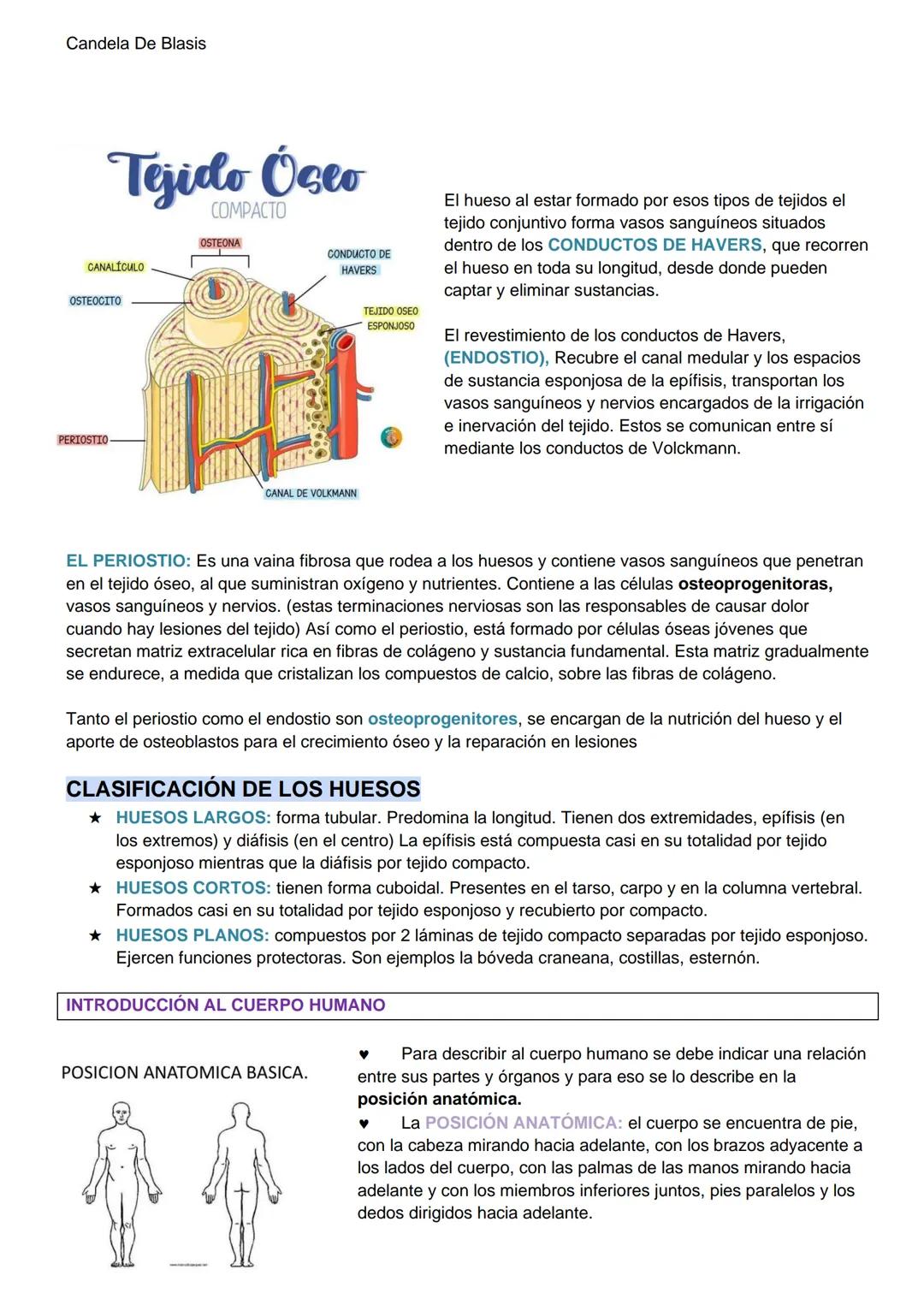 Candela De Blasis
RESUMEN SISTEMA OSTEO-ARTROMUSCULAR
TEJIDO CONECTIVO ESPECIALIZADO (TEJIDO ÓSEO)
Matriz extracelular mineralizada (fosfato