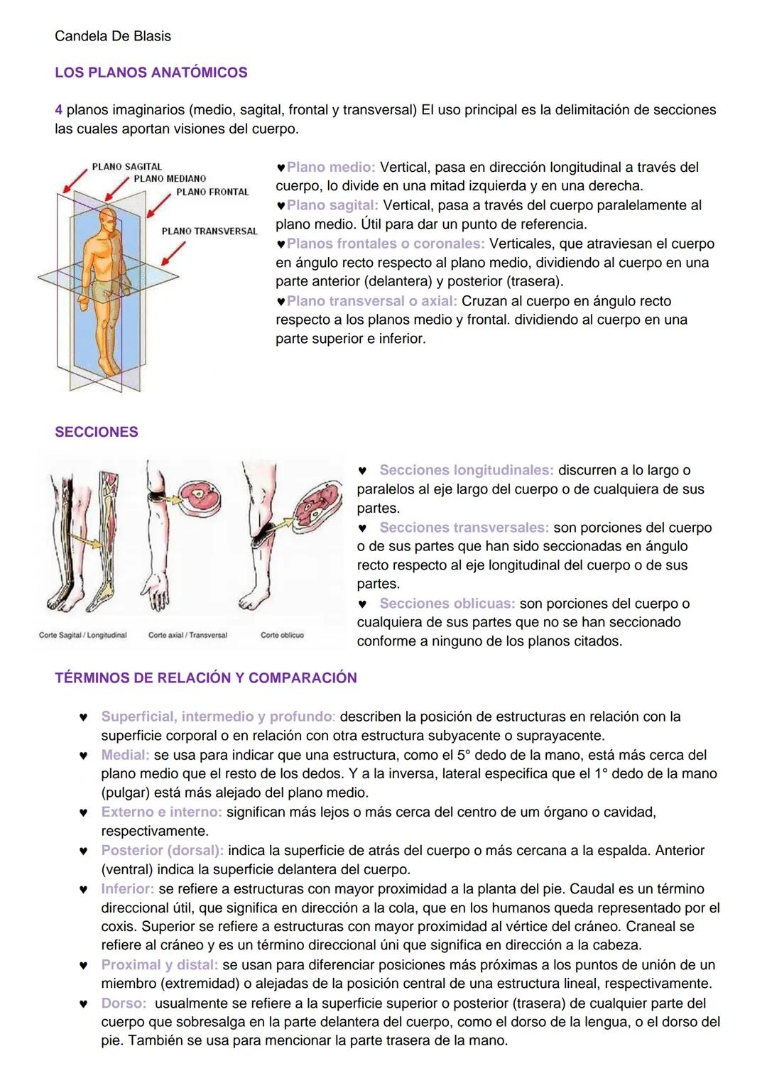Candela De Blasis
RESUMEN SISTEMA OSTEO-ARTROMUSCULAR
TEJIDO CONECTIVO ESPECIALIZADO (TEJIDO ÓSEO)
Matriz extracelular mineralizada (fosfato