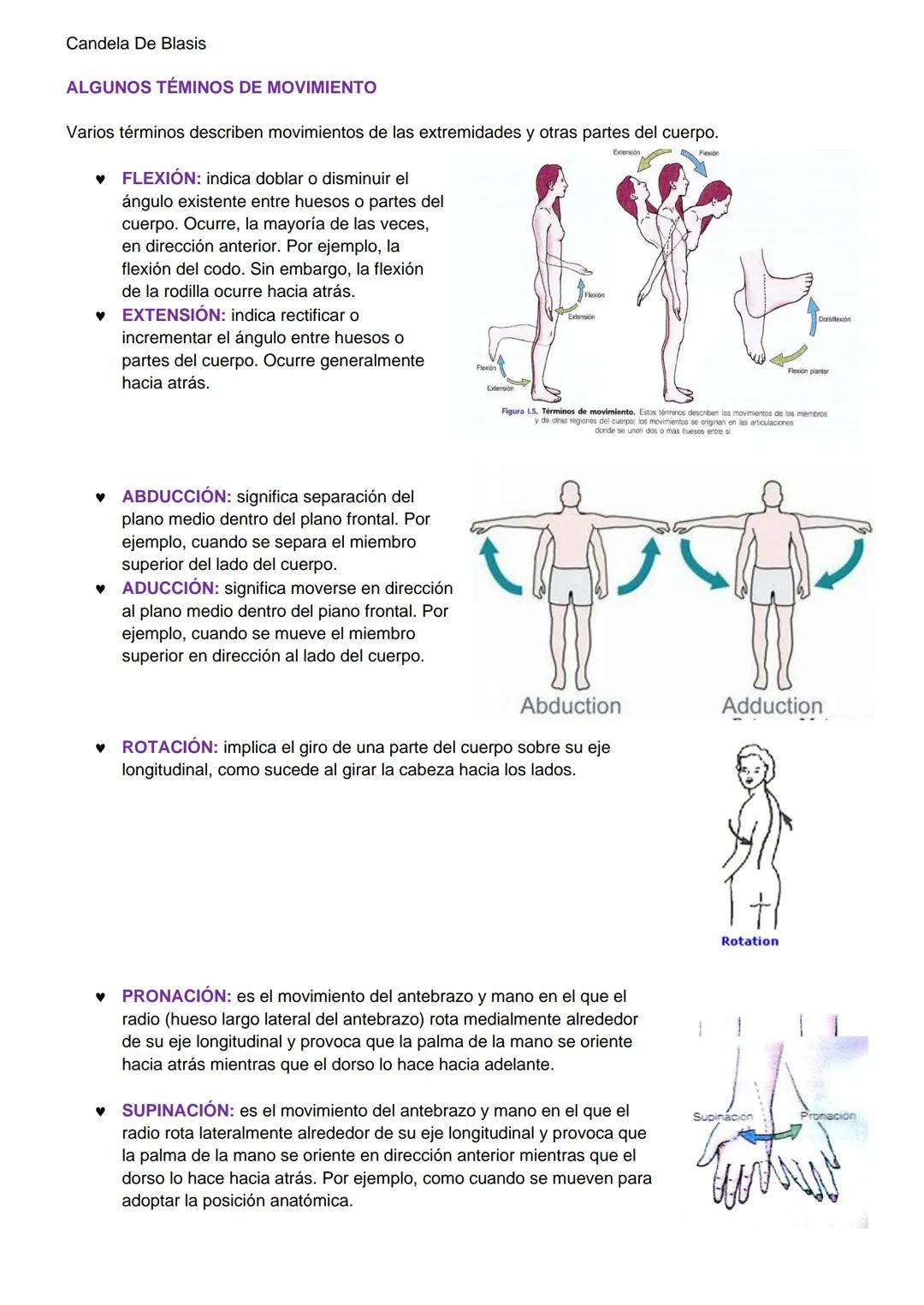 Candela De Blasis
RESUMEN SISTEMA OSTEO-ARTROMUSCULAR
TEJIDO CONECTIVO ESPECIALIZADO (TEJIDO ÓSEO)
Matriz extracelular mineralizada (fosfato