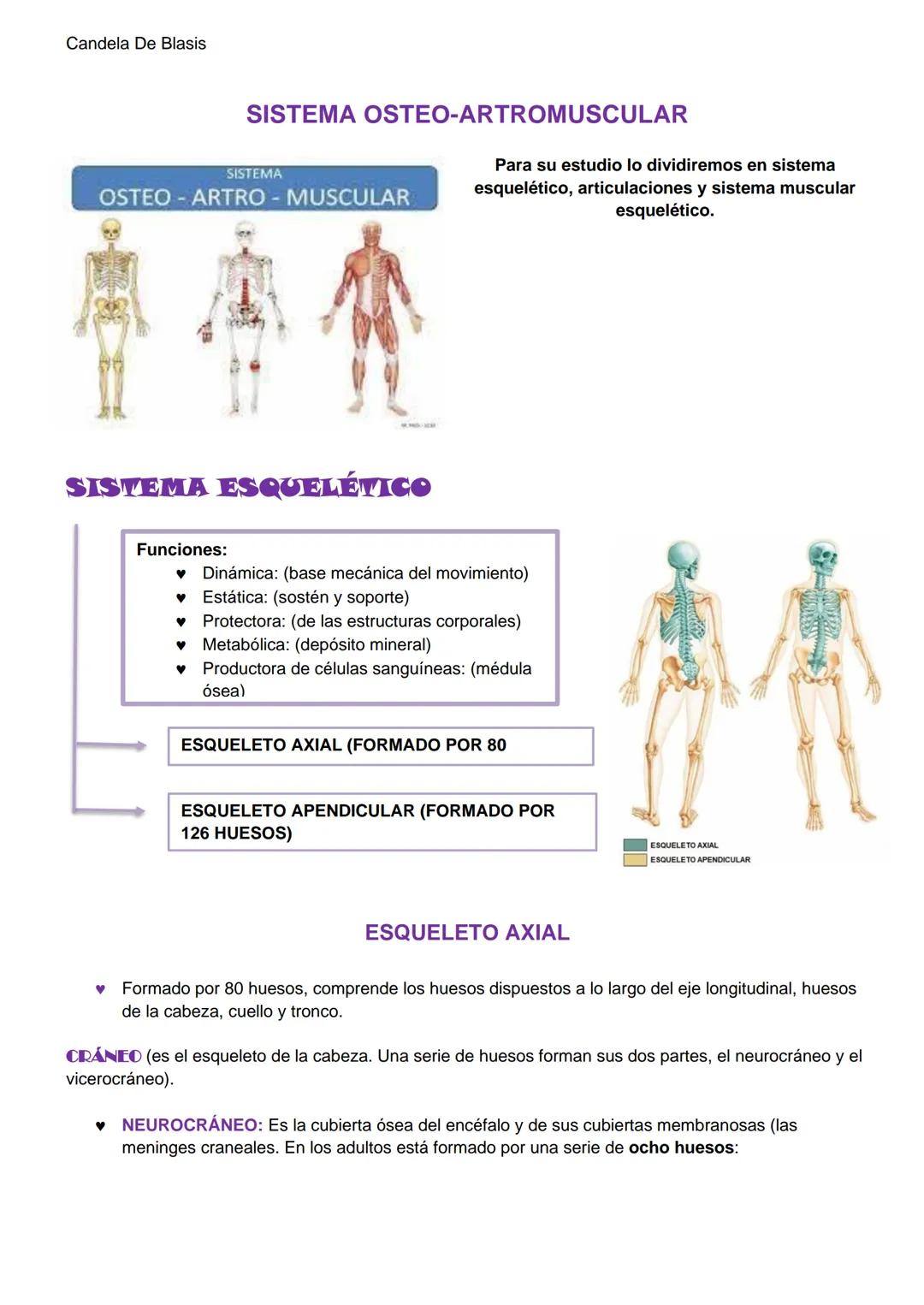 Candela De Blasis
RESUMEN SISTEMA OSTEO-ARTROMUSCULAR
TEJIDO CONECTIVO ESPECIALIZADO (TEJIDO ÓSEO)
Matriz extracelular mineralizada (fosfato