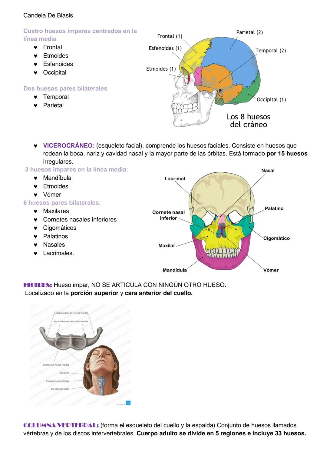 Candela De Blasis
RESUMEN SISTEMA OSTEO-ARTROMUSCULAR
TEJIDO CONECTIVO ESPECIALIZADO (TEJIDO ÓSEO)
Matriz extracelular mineralizada (fosfato