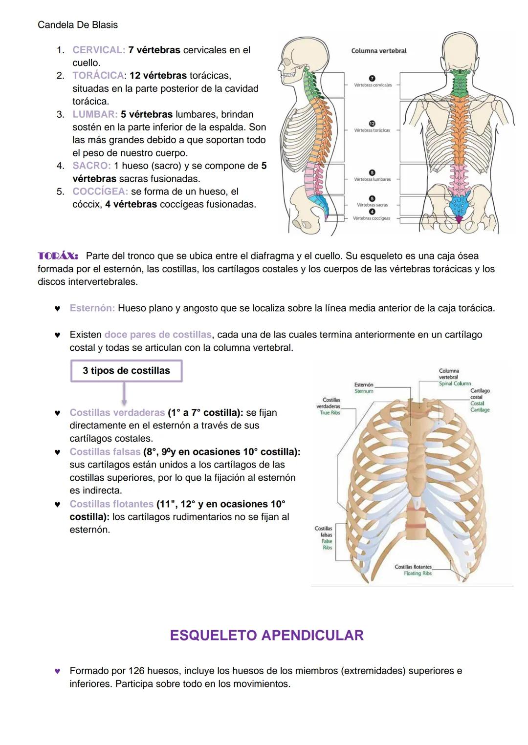Candela De Blasis
RESUMEN SISTEMA OSTEO-ARTROMUSCULAR
TEJIDO CONECTIVO ESPECIALIZADO (TEJIDO ÓSEO)
Matriz extracelular mineralizada (fosfato