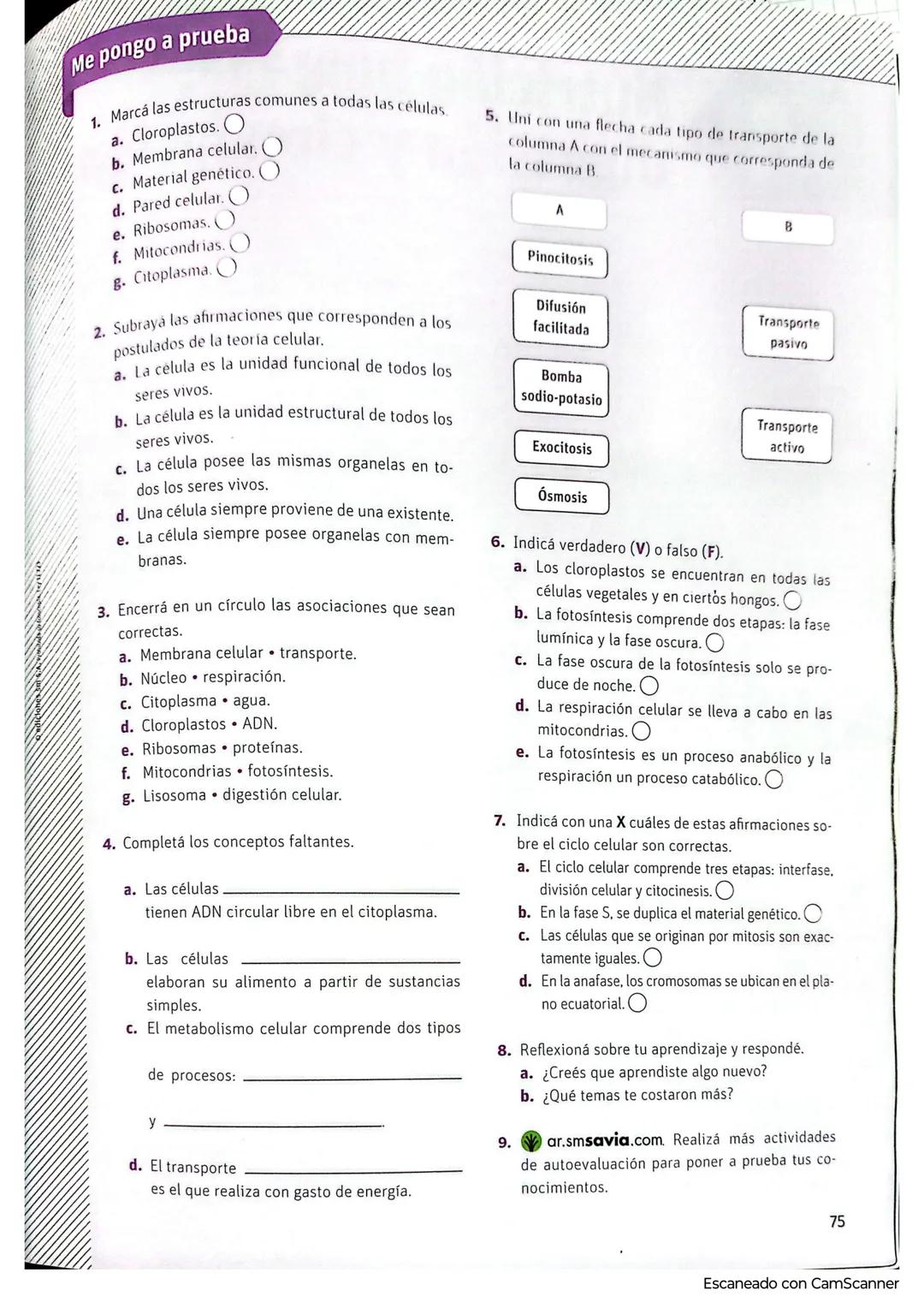 # La célula: unidad estructural y funcional
3
Amplía tu mirada
Todos los seres vivos, por más diferentes que sean, están formados por cél