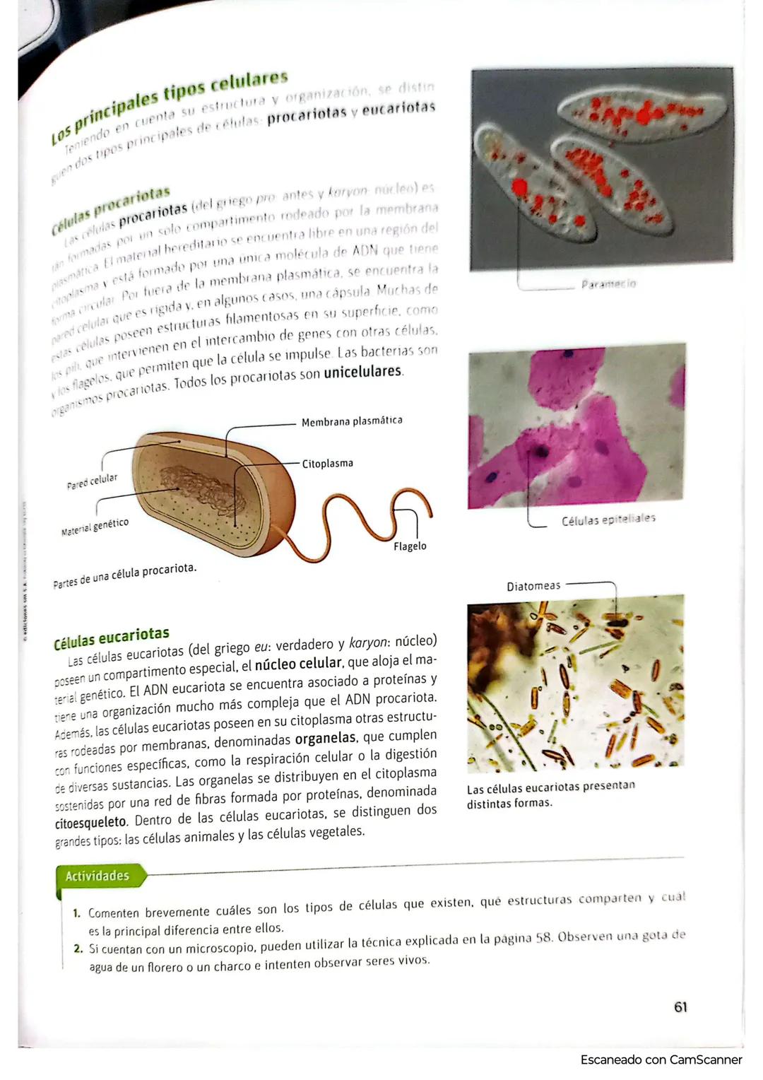 # La célula: unidad estructural y funcional
3
Amplía tu mirada
Todos los seres vivos, por más diferentes que sean, están formados por cél