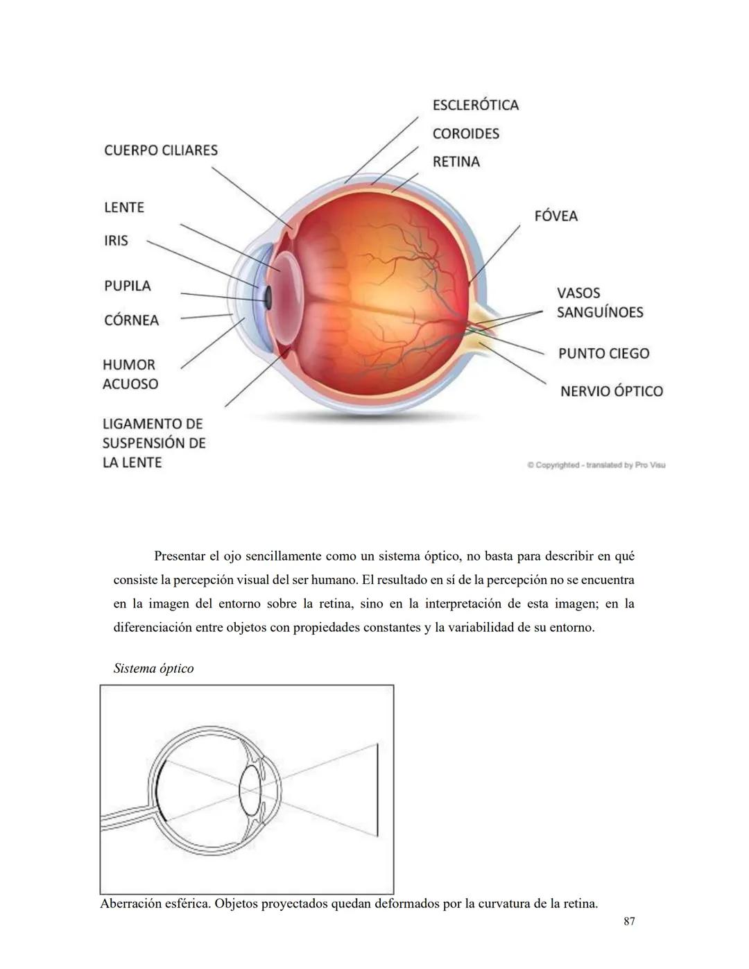 FUNDAMENTOS
DE
RADIOLOGíA Carrera: Tecnicatura en Radiología.
Materia: Fundamentos de Radiología
Curso: Primer año
Año: 2023
Objetivos gener