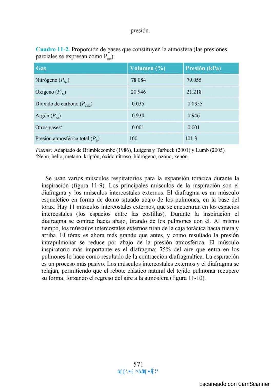 Capítulo 11
Aparato respiratorio
Anthony Wheeldon
Ponga a prueba sus conocimientos previos
• Enumere cinco estructuras principales de las ví