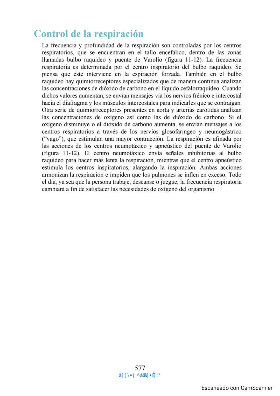 Capítulo 11
Aparato respiratorio
Anthony Wheeldon
Ponga a prueba sus conocimientos previos
• Enumere cinco estructuras principales de las ví