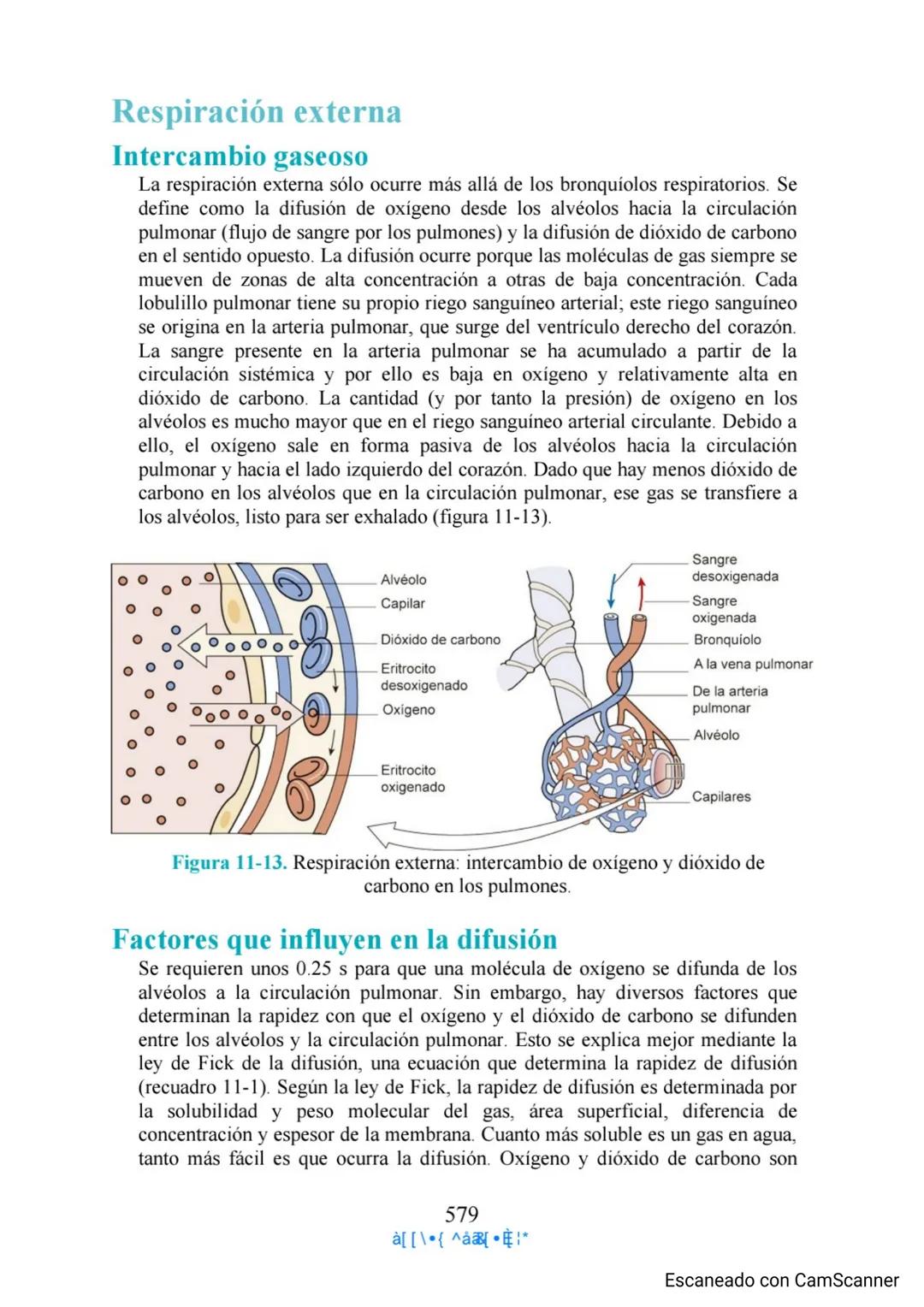 Capítulo 11
Aparato respiratorio
Anthony Wheeldon
Ponga a prueba sus conocimientos previos
• Enumere cinco estructuras principales de las ví