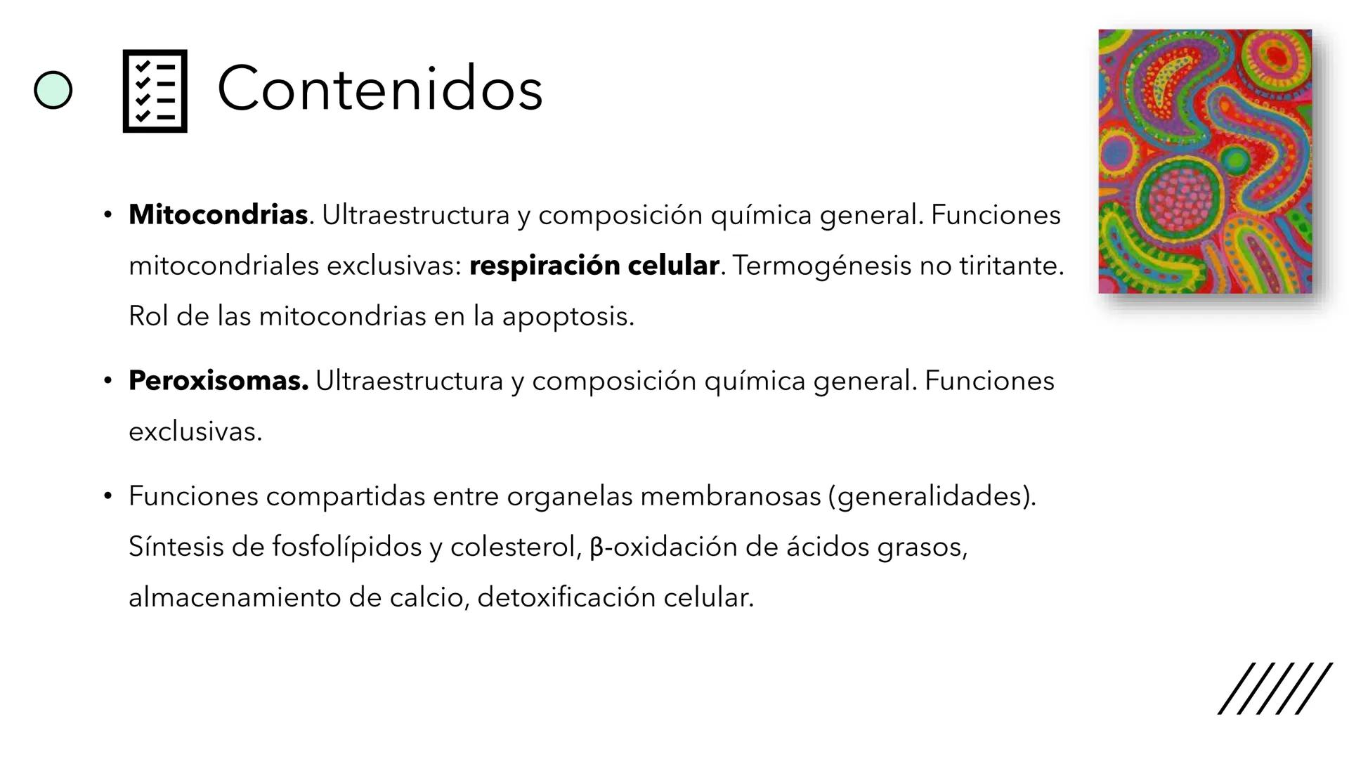 + 
Facultad de Ciencias
VETERINARIAS
APO
7
Organelas membranosas II.
Mitocondrias. Peroxisomas
Dra. Mariana Woudwyk
Biología Celular y del D