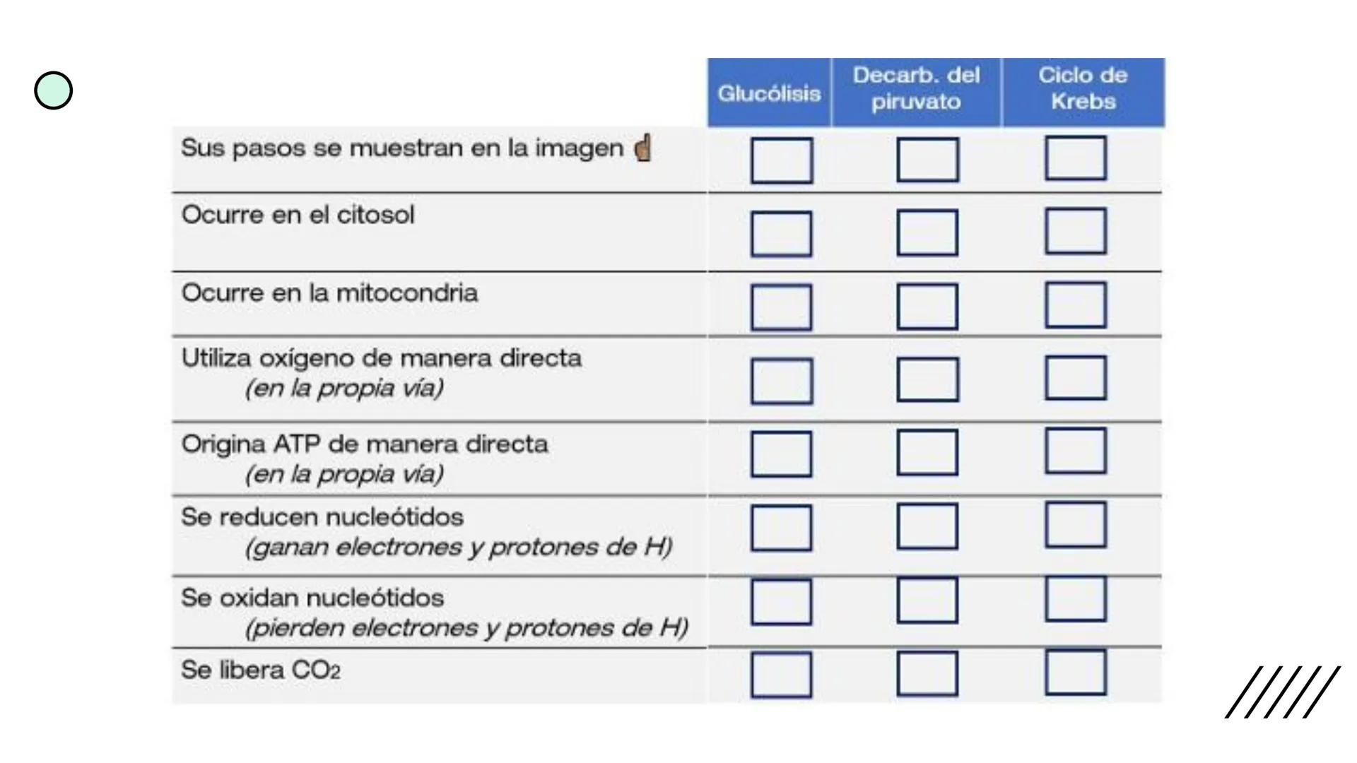 + 
Facultad de Ciencias
VETERINARIAS
APO
7
Organelas membranosas II.
Mitocondrias. Peroxisomas
Dra. Mariana Woudwyk
Biología Celular y del D