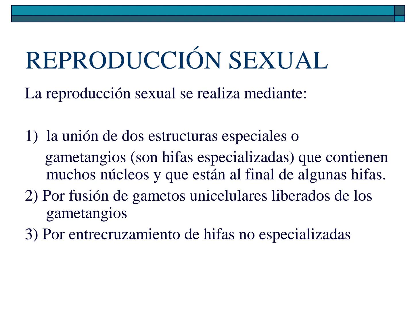 Hongos
40 pm
La ciencia que se encarga de estudiar los
hongos se llama "Micología"
Son células "eucariotas", la mayoría son
multicelulares a