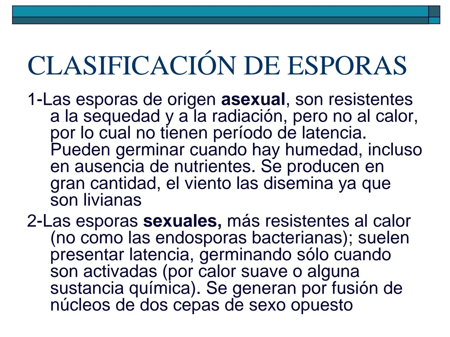 Hongos
40 pm
La ciencia que se encarga de estudiar los
hongos se llama "Micología"
Son células "eucariotas", la mayoría son
multicelulares a